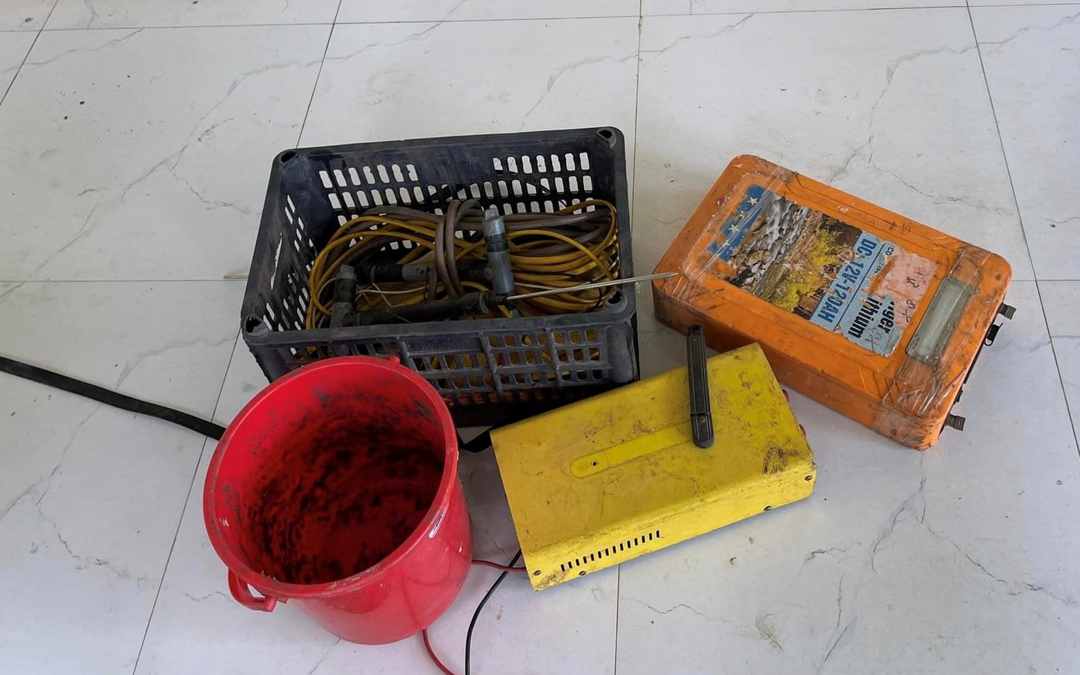 Hiện tượng kỳ lạ khi hàng nghìn con giun trồi lên mặt đất - Ảnh 2.