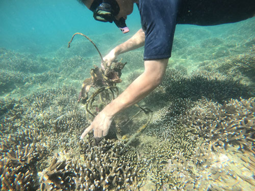 Ban Quản lý vịnh Nha Trang thường xuyên lặn nhặt rác và kiểm tra tình hình phục hồi rạn san hô của Khu Bảo tồn biển vịnh Nha Trang
