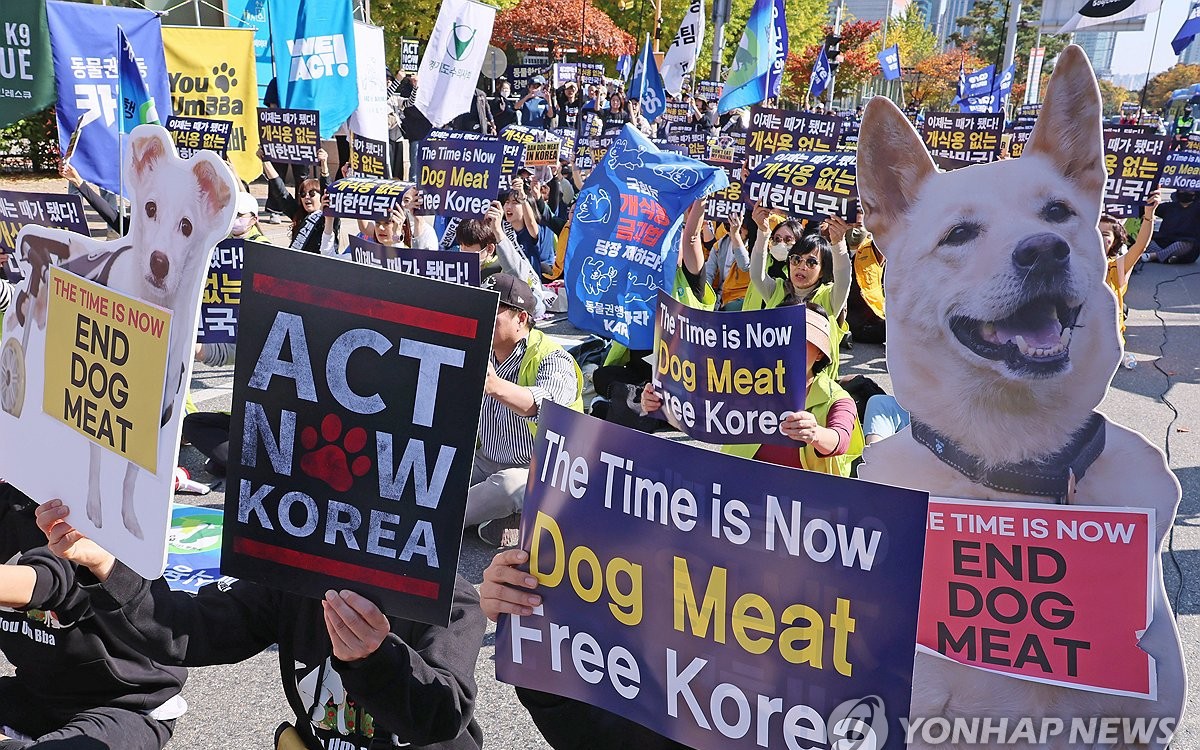 Hàn Quốc cấm triệt để tiêu thụ thịt chó