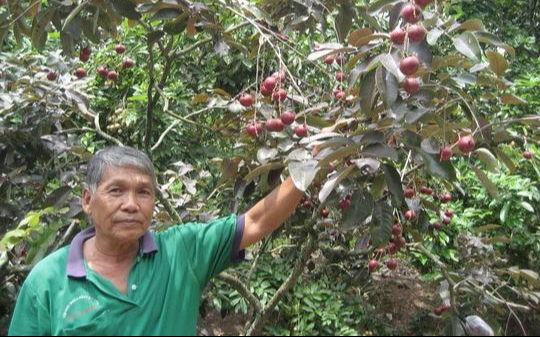 Sóc Trăng: Hộ nghèo tiếp cận tốt nguồn vốn tín dụng chính sách- Ảnh 1.