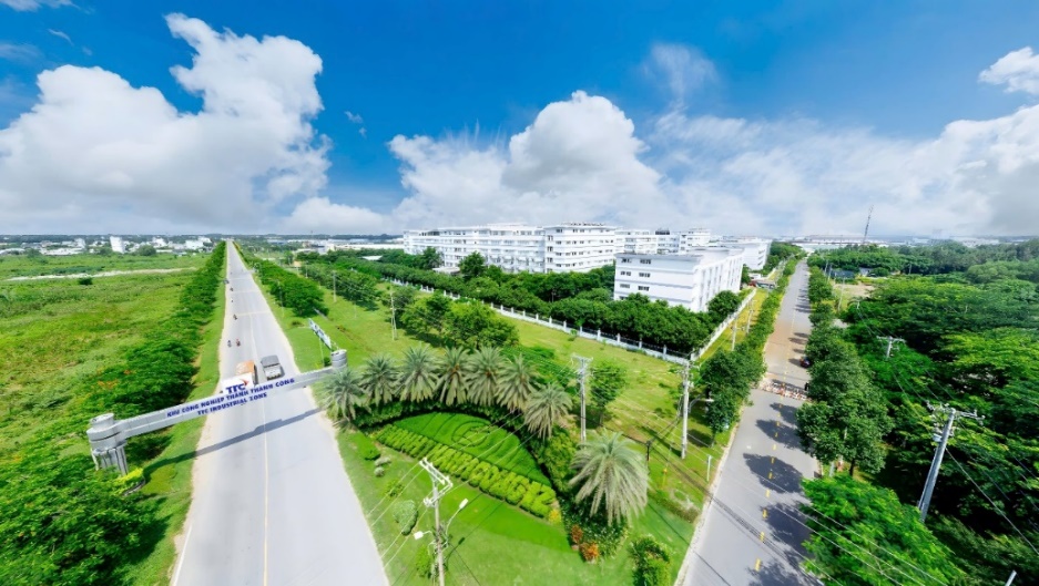 A road with trees and buildings in the background  Description automatically generated