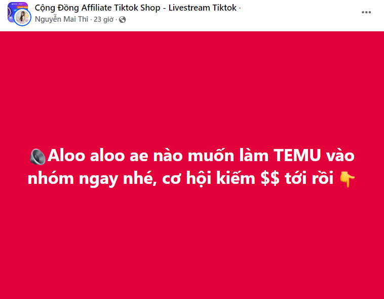 Temu chi hoa hồng 30% hút người Việt tham gia tiếp thị liên kết, chuyên gia nói không Temu chi hoa hồng 30% hút người Việt tham gia tiếp thị liên kết, chuyên gia nói không