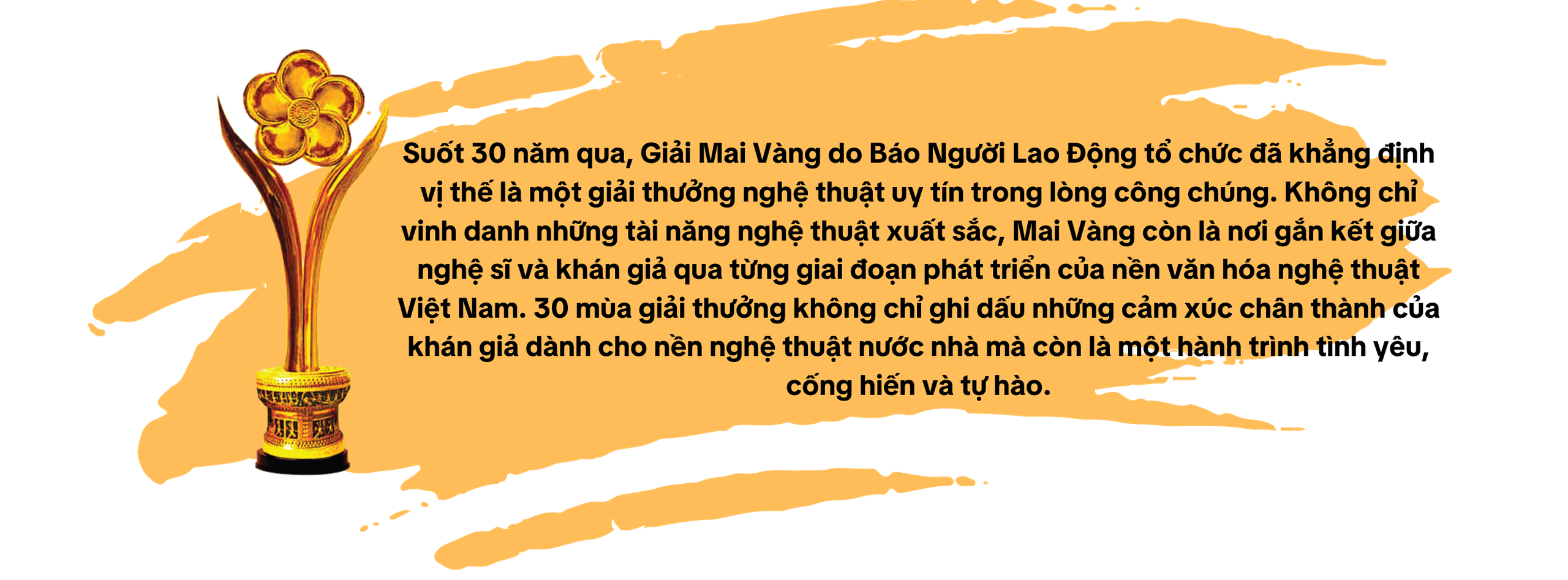 Giải Mai Vàng - 30 năm ấy biết bao nhiêu tình- Ảnh 1.