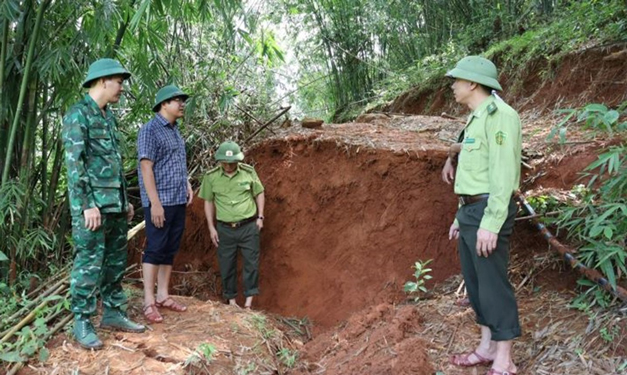 Đồi nứt ở bản Cha Khót, xã Na Mèo, huyện Quan Sơn, tỉnh Thanh Hóa, khiến 55 hộ phải di dời đi ở tạm