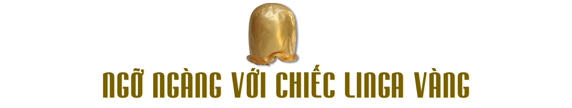 Báu vật hoàng tộc Chăm dưới chân tháp cổ- Ảnh 1.