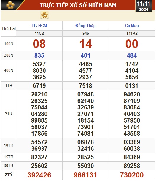 Kết quả xổ số hôm nay, 11-11: TP HCM, Đồng Tháp, Cà Mau, Phú Yên, Hà Nội...- Ảnh 1.