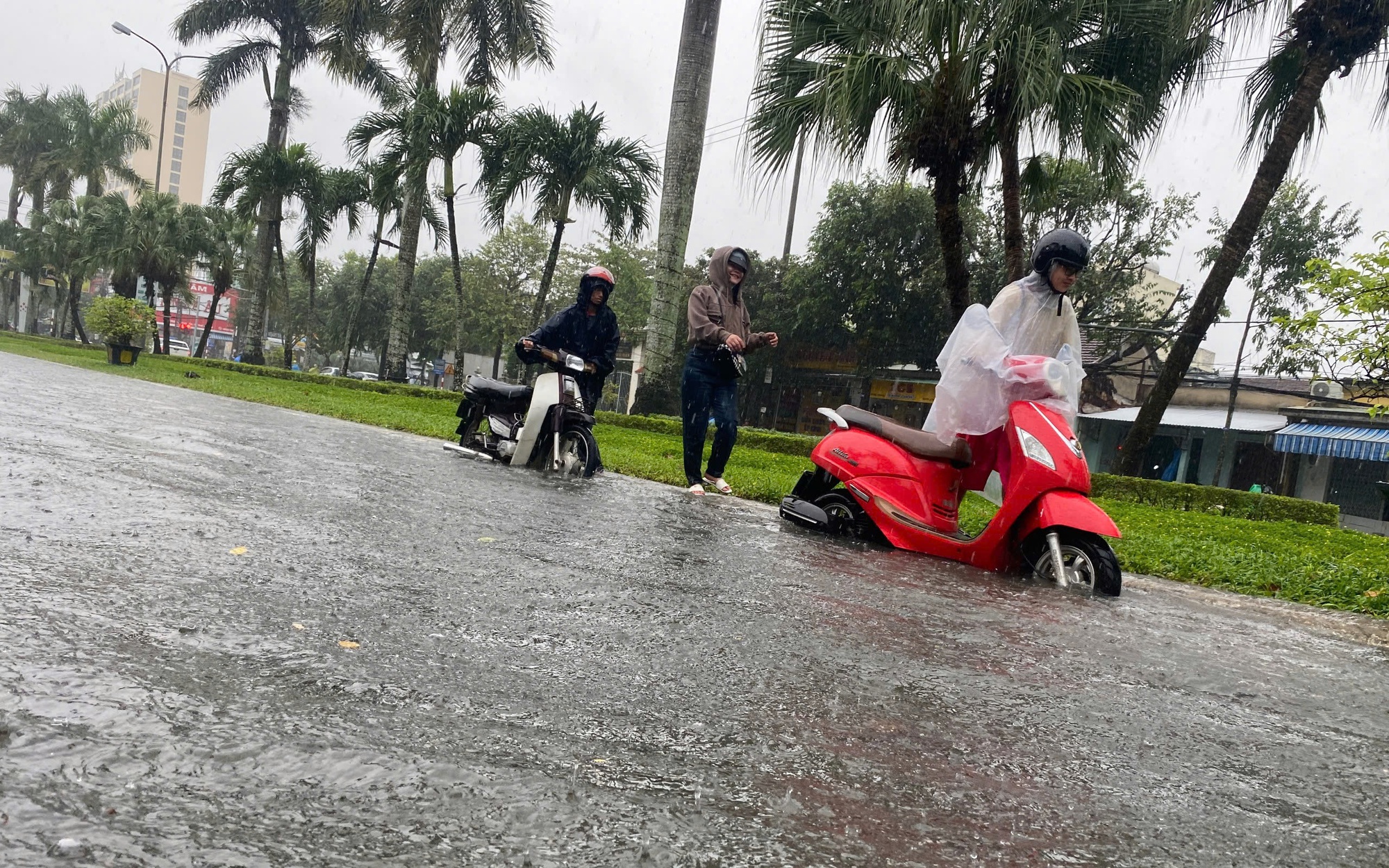 Thanh tra các dự án ở Tam Kỳ, thu lại cho nhà nước hàng tỉ đồng - Ảnh 2.