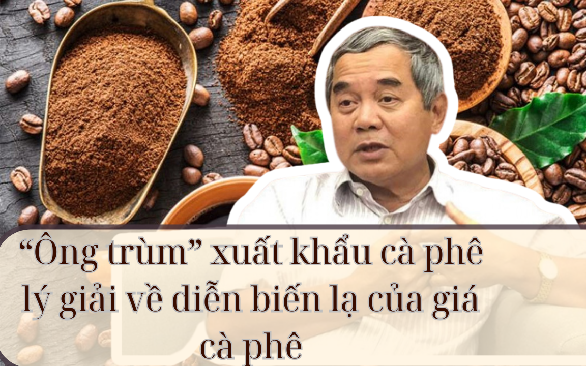 “Ông trùm” xuất khẩu cà phê lý giải về diễn biến lạ của giá cà phê