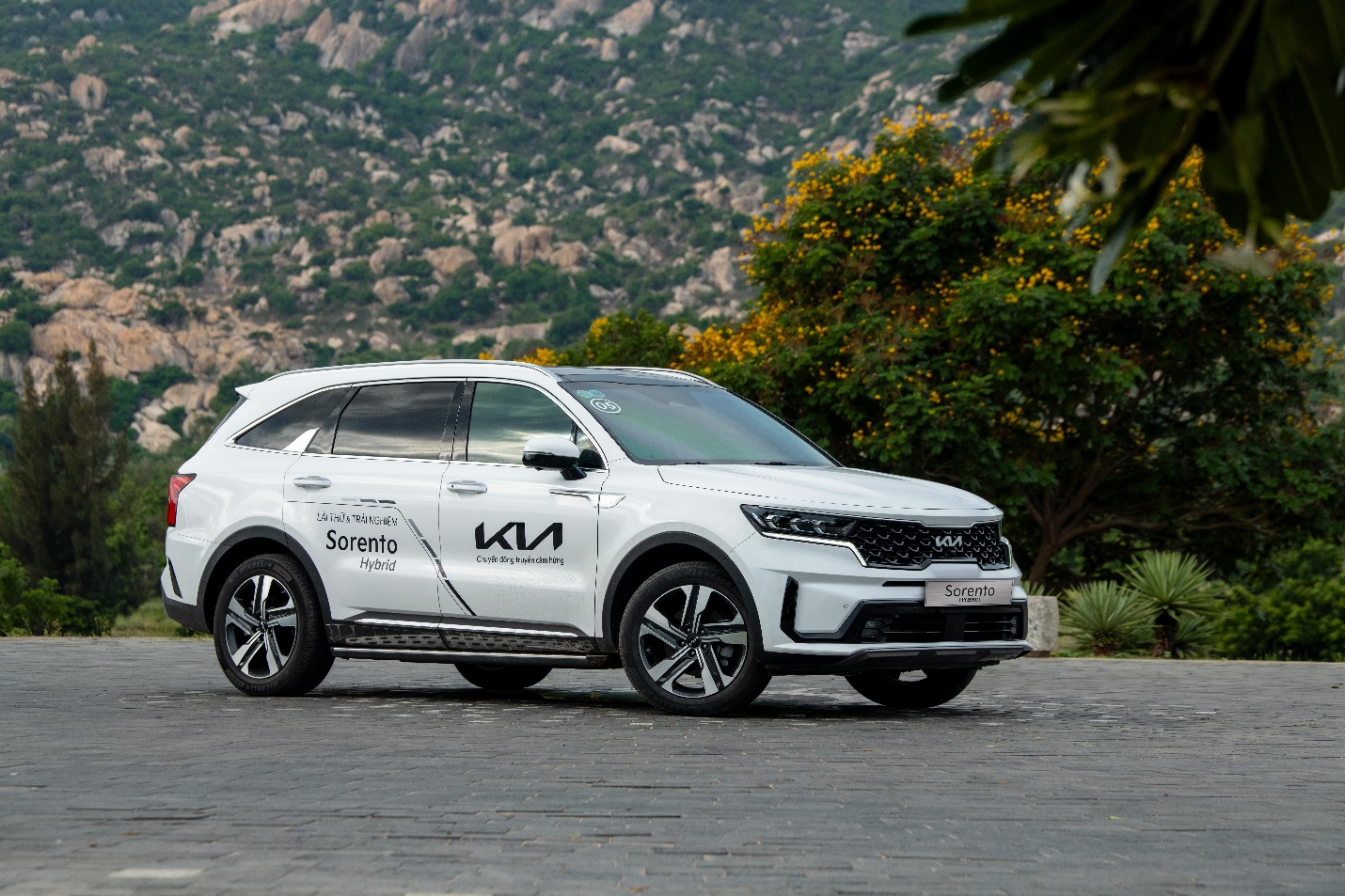 Kia K5 và Kia Sorento ưu đãi đặc biệt gần nửa tỷ đồng- Ảnh 2.