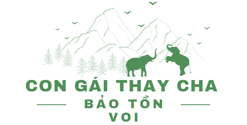 Chân dung những "vua voi" cuối cùng của Tây Nguyên- Ảnh 4.
