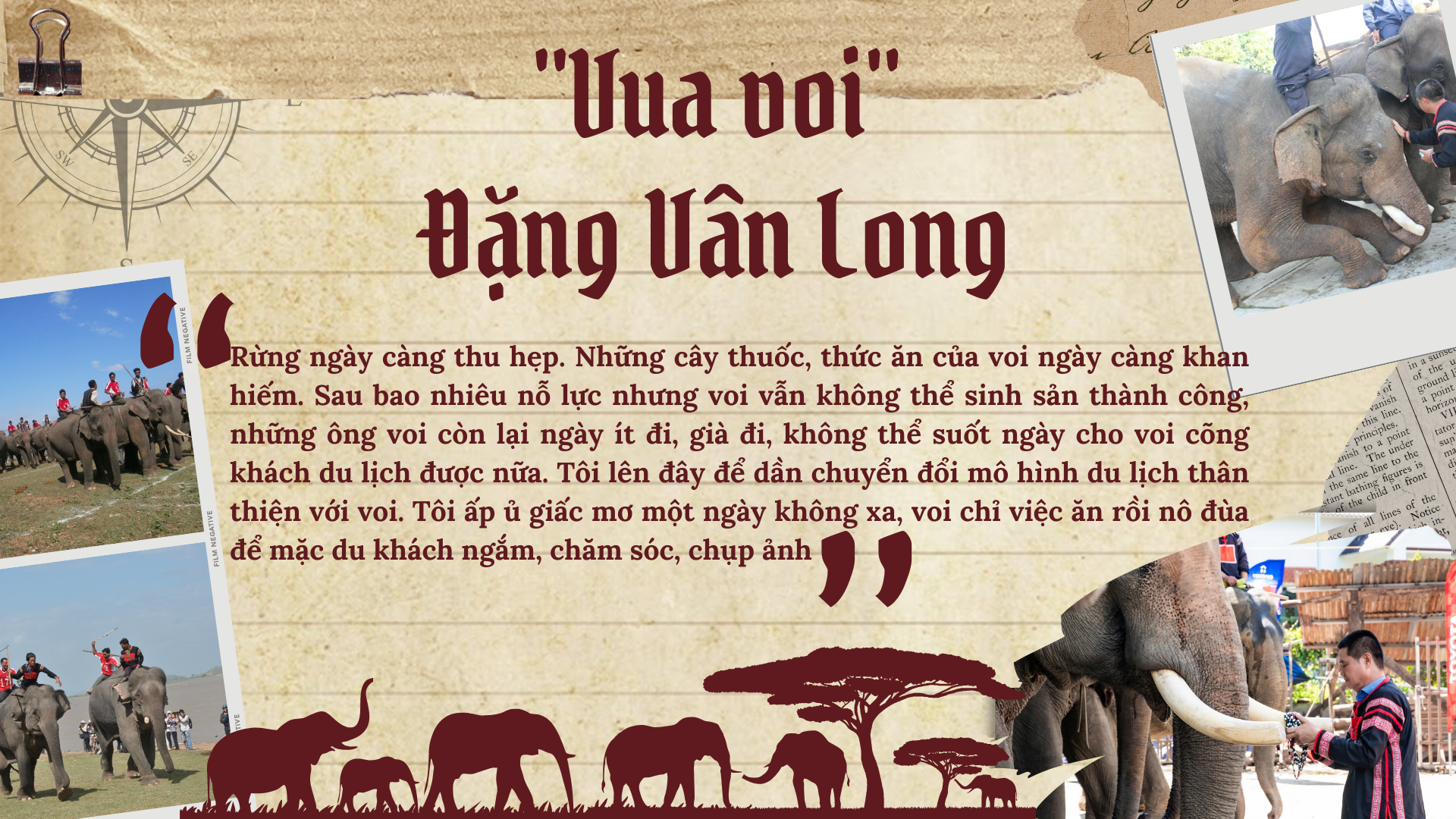 Chân dung những "vua voi" cuối cùng của Tây Nguyên- Ảnh 2.