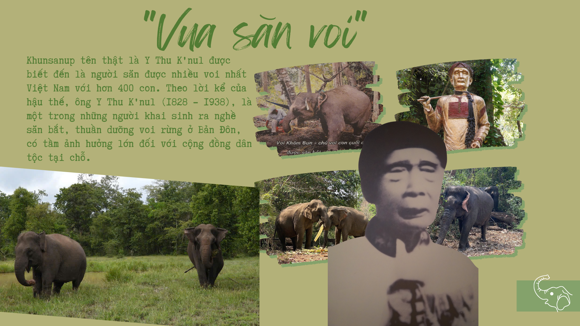 Chân dung những "vua voi" cuối cùng của Tây Nguyên- Ảnh 8.