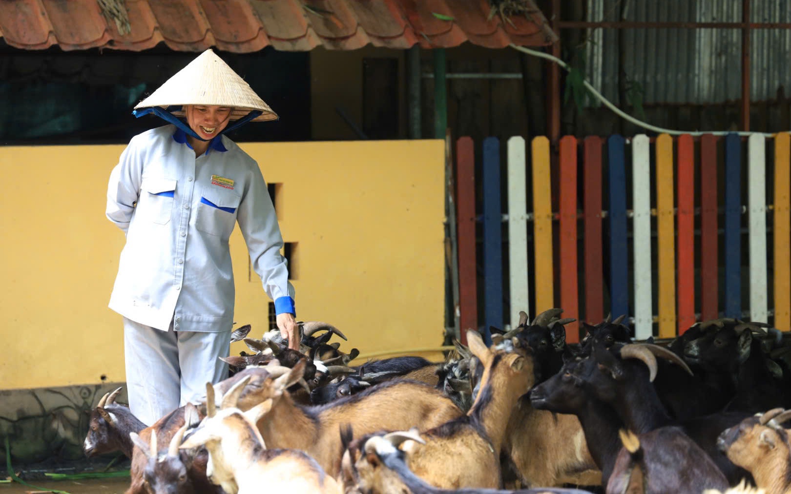 Nợ hàng trăm tỉ đồng nhưng Thảo Cầm Viên Sài Gòn vẫn còn tiền gửi ngân hàng