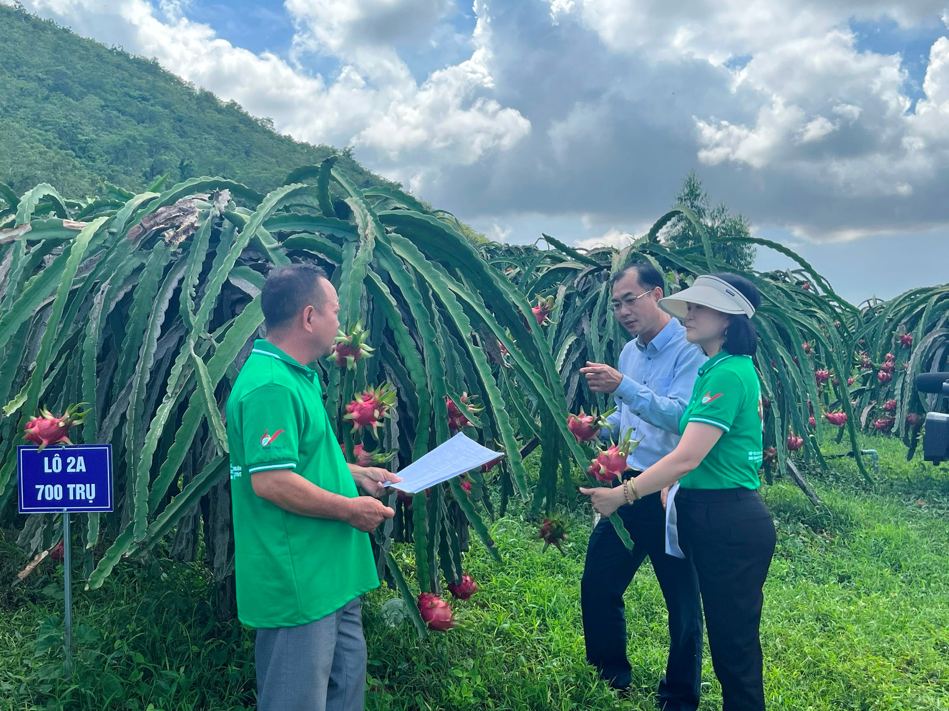 BÌNH THUẬN: Hiệu quả từ công tác đào tạo nghề nông thôn- Ảnh 2.