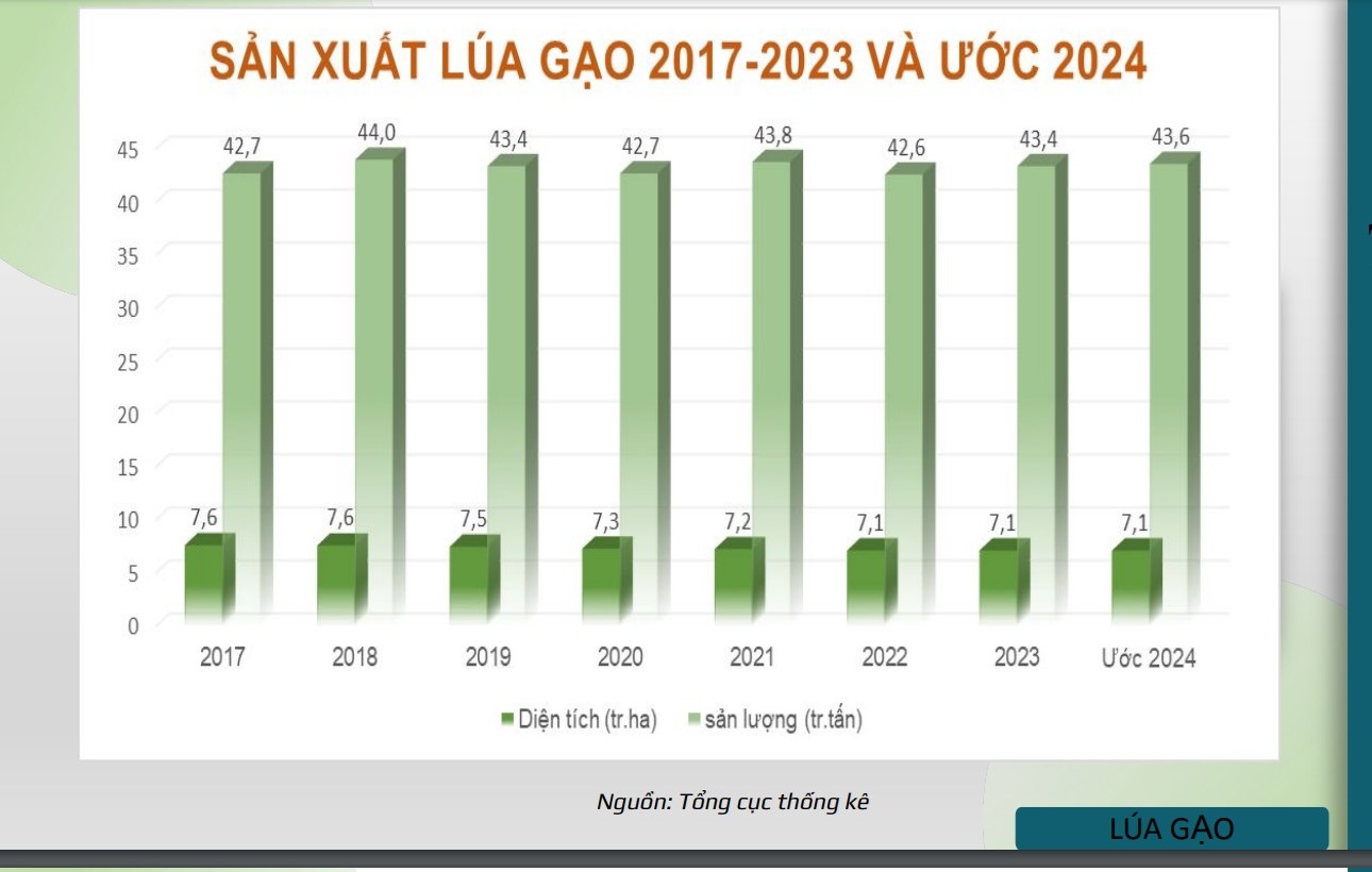 Giải mã kỷ lục xuất khẩu gạo khó tin của Việt Nam- Ảnh 2. Giải mã kỷ lục xuất khẩu gạo khó tin của Việt Nam- Ảnh 2.