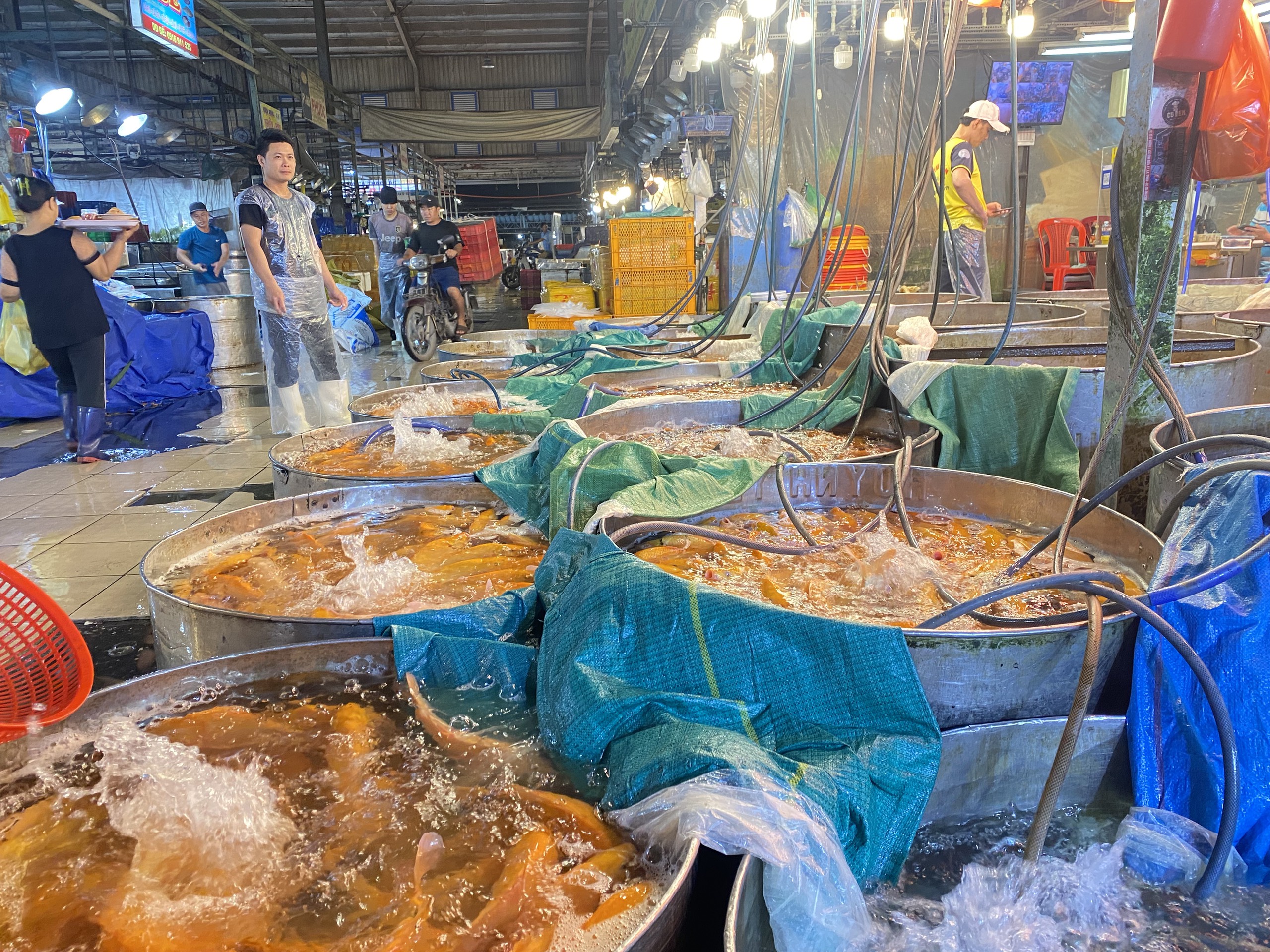 Chợ cá chép cúng ông Táo tại TP HCM đêm khuya nhộn nhịp- Ảnh 3.
