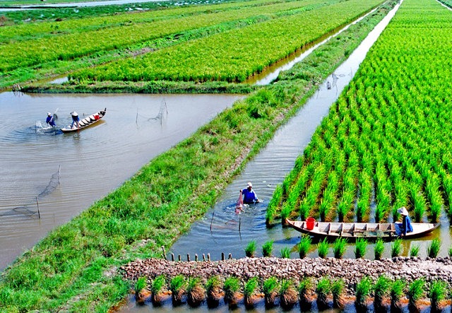 Bộ trưởng Lê Minh Hoan: Lan tỏa sâu sắc hơn nữa tư duy kinh tế nông nghiệp- Ảnh 4.