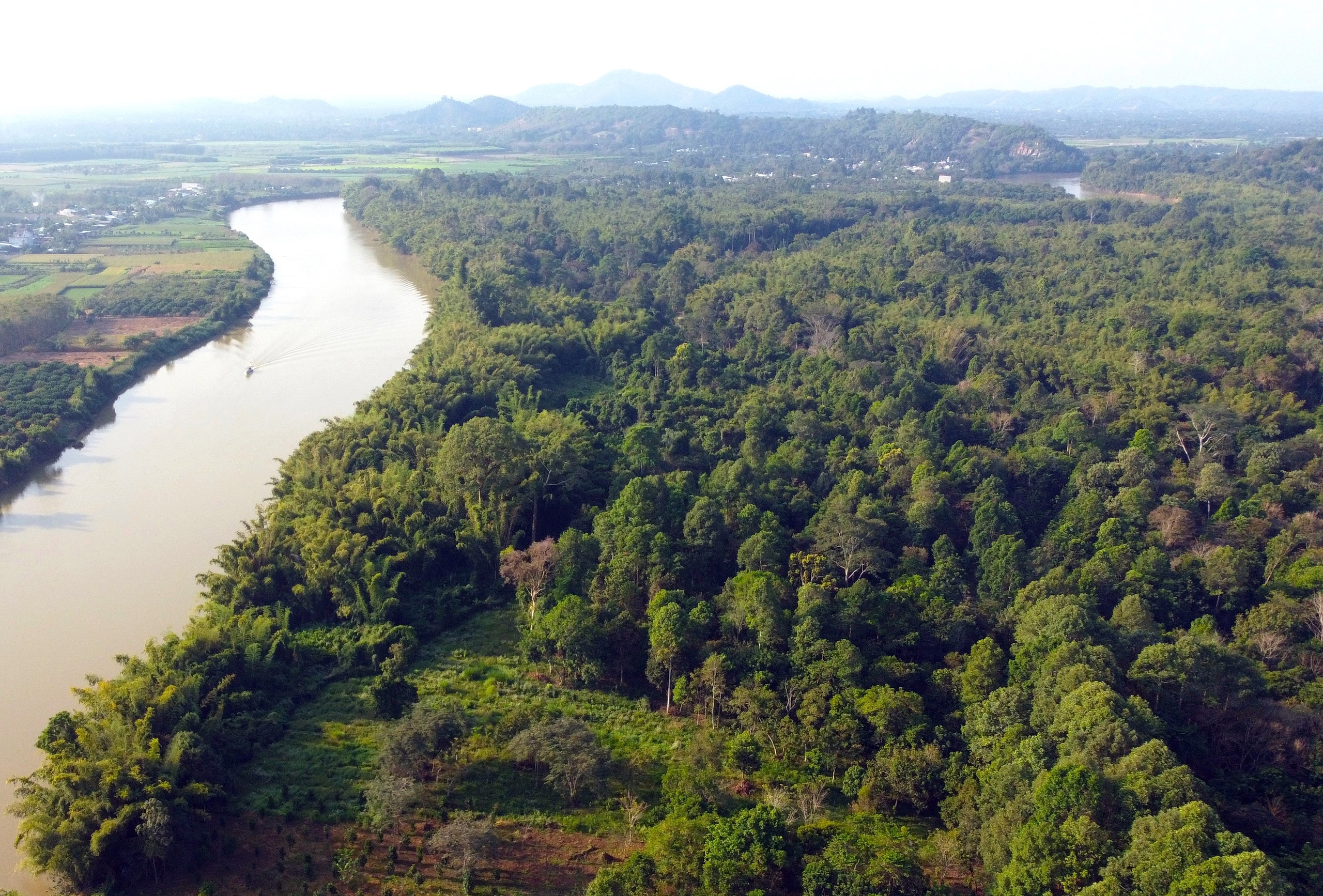 Xuyên rừng ngắm "bảo vật" của Vườn quốc gia Cát Tiên- Ảnh 1.