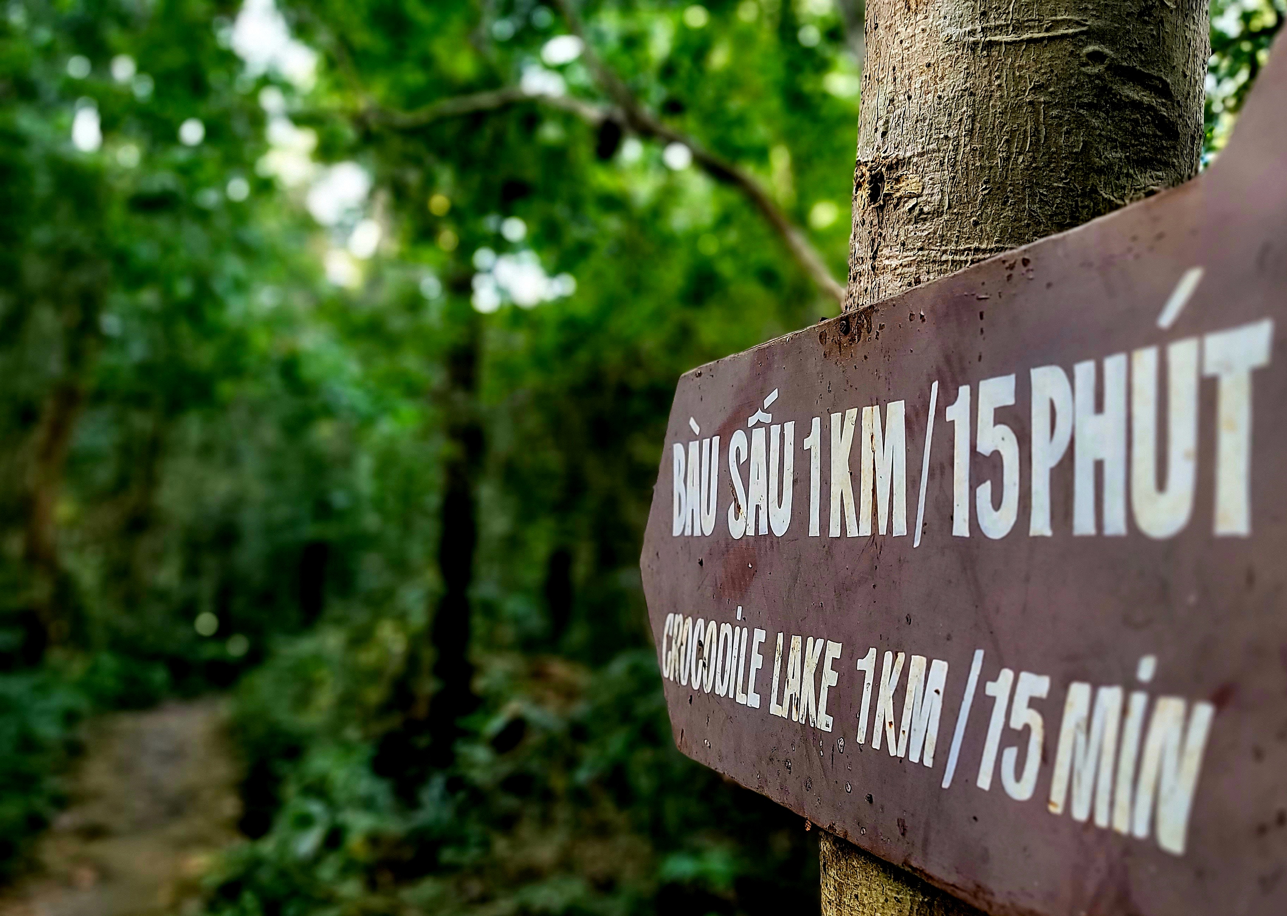 Xuyên rừng ngắm "bảo vật" của Vườn quốc gia Cát Tiên- Ảnh 16.