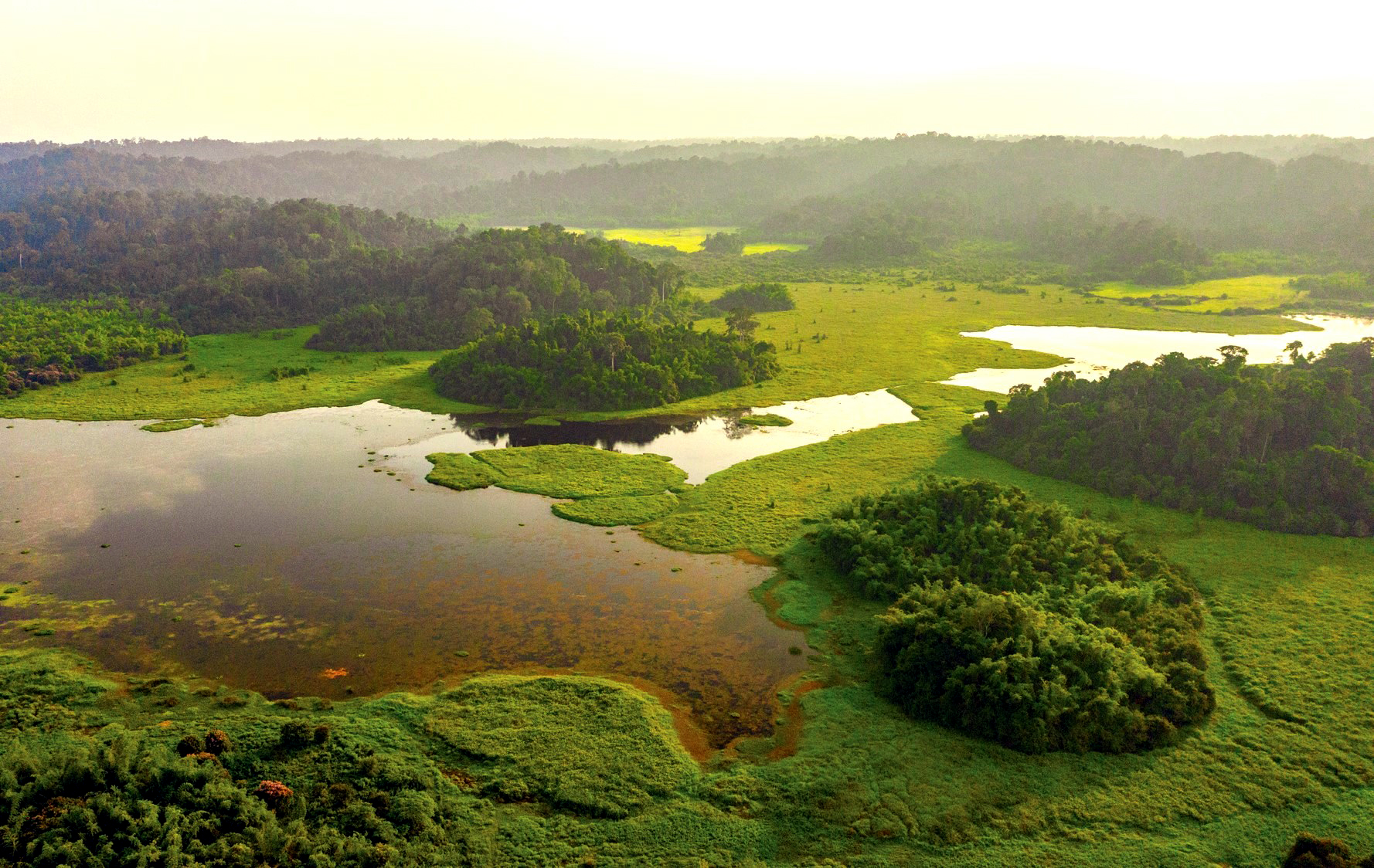 Xuyên rừng ngắm "bảo vật" của Vườn quốc gia Cát Tiên- Ảnh 17.