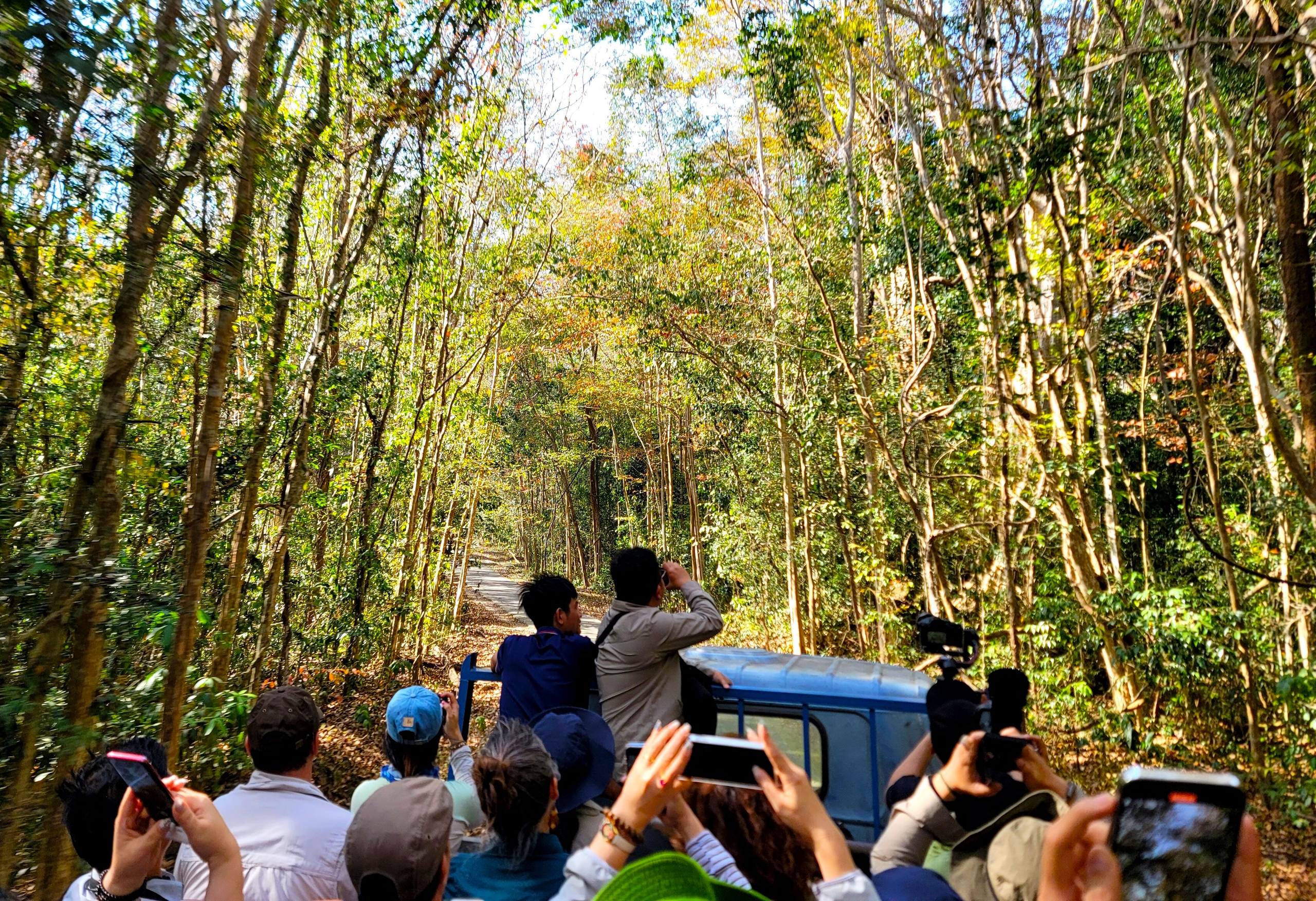Xuyên rừng ngắm "bảo vật" của Vườn quốc gia Cát Tiên- Ảnh 2.