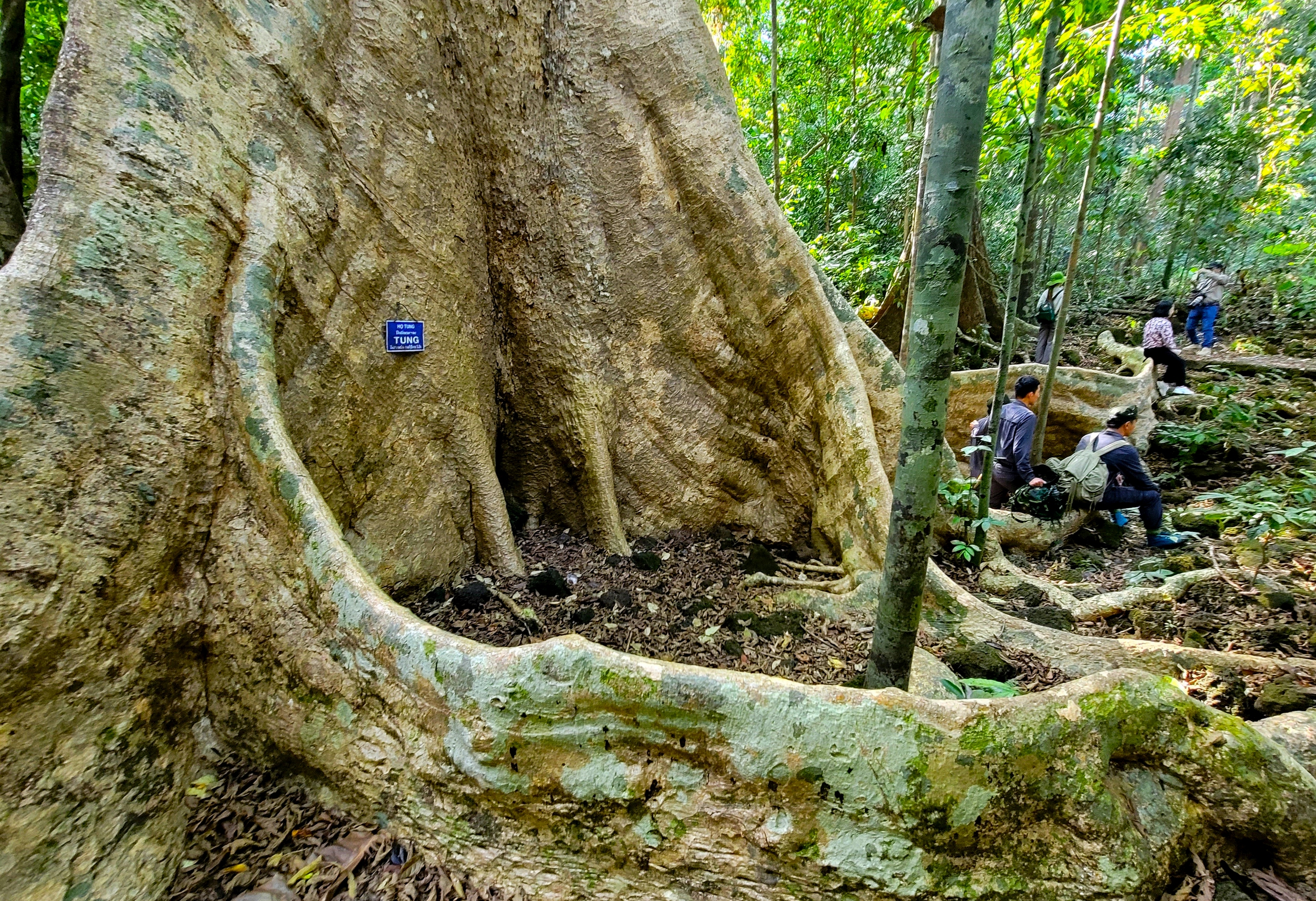 Xuyên rừng ngắm "bảo vật" của Vườn quốc gia Cát Tiên- Ảnh 5.
