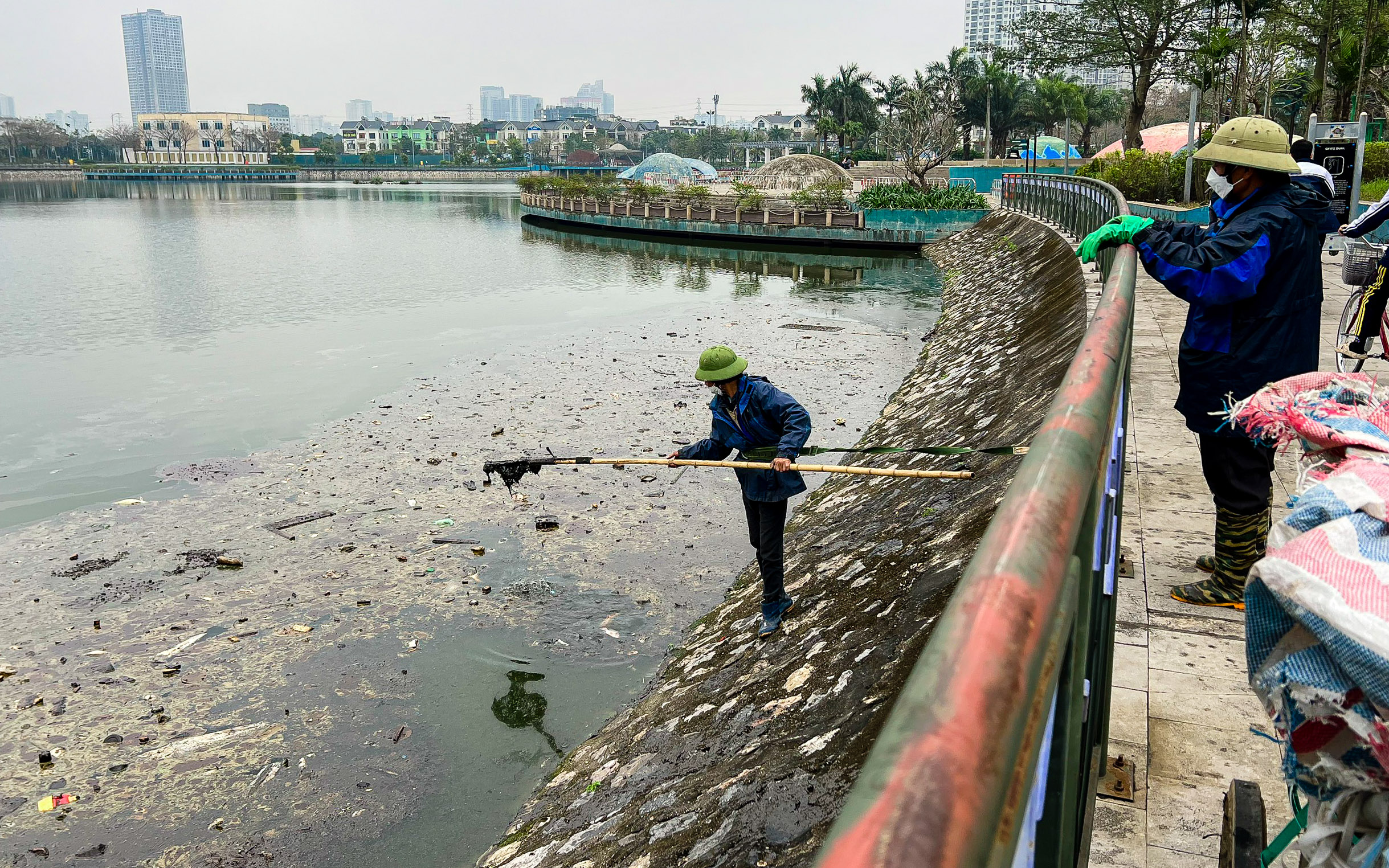 Phát hiện chất lạ màu đen ở nơi cá chết trắng tại công viên Thiên văn học- Ảnh 3.