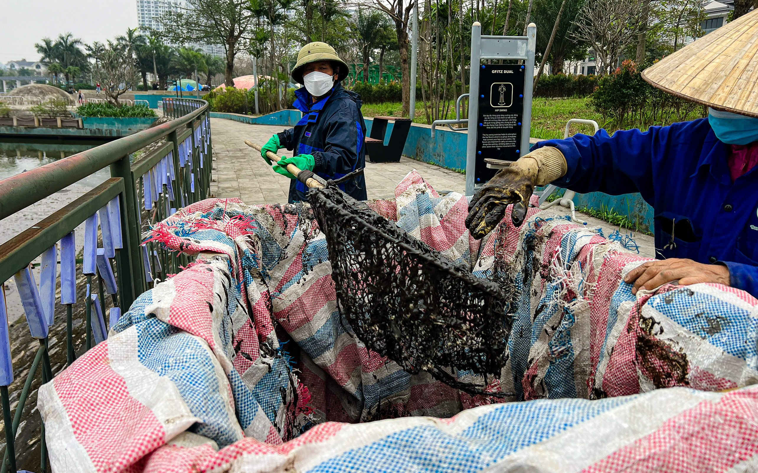 Phát hiện chất lạ màu đen ở nơi cá chết trắng tại công viên Thiên văn học- Ảnh 5.