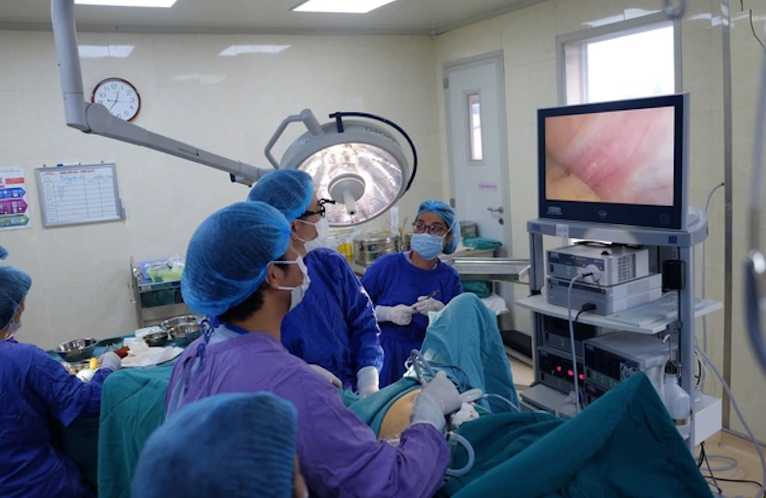 Giải mã bí ẩn trong nam, ngoài nữ- Ảnh 8.