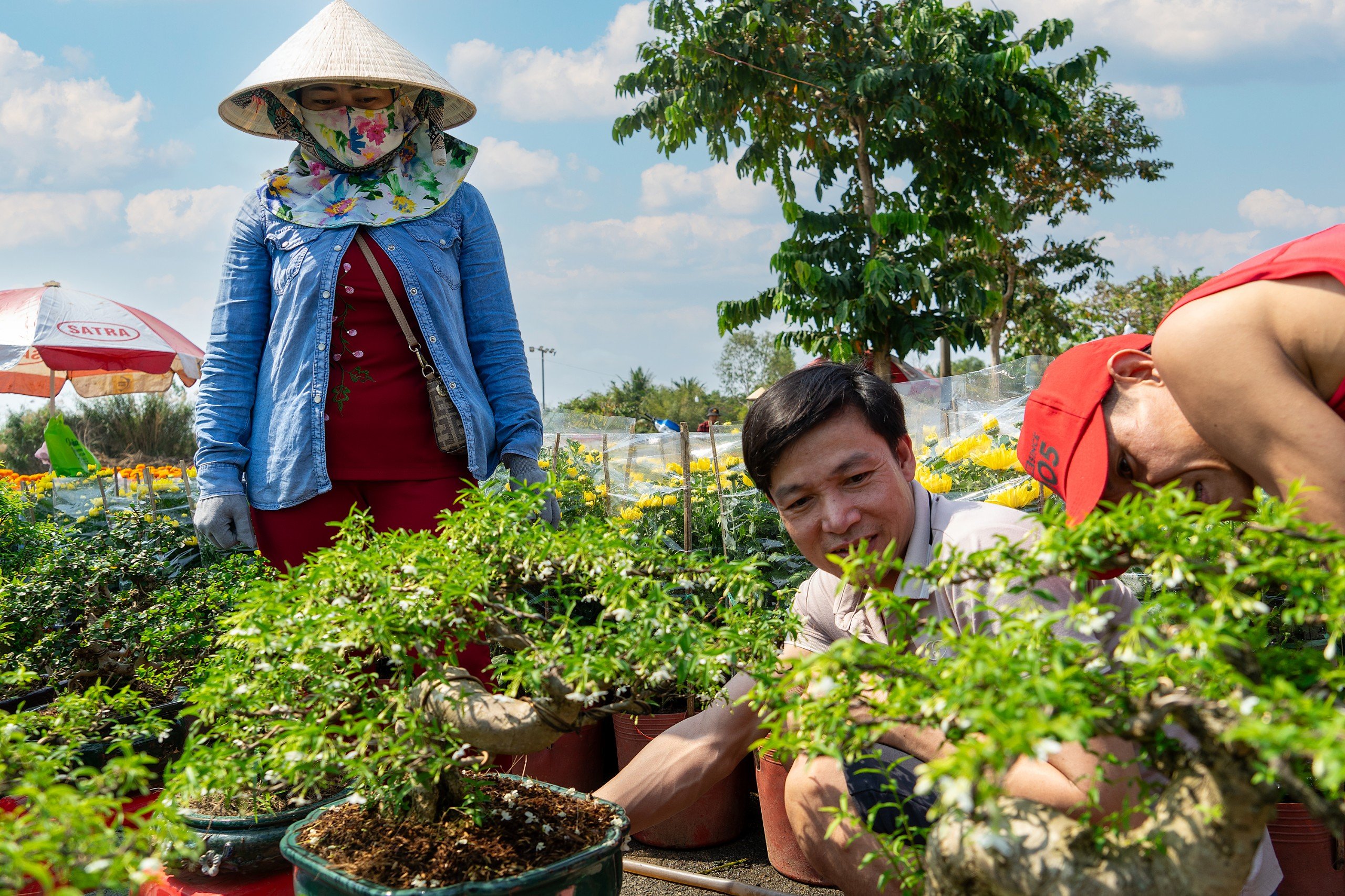 Khai mạc chợ hoa xuân giá "hạt dẻ"- Ảnh 7.