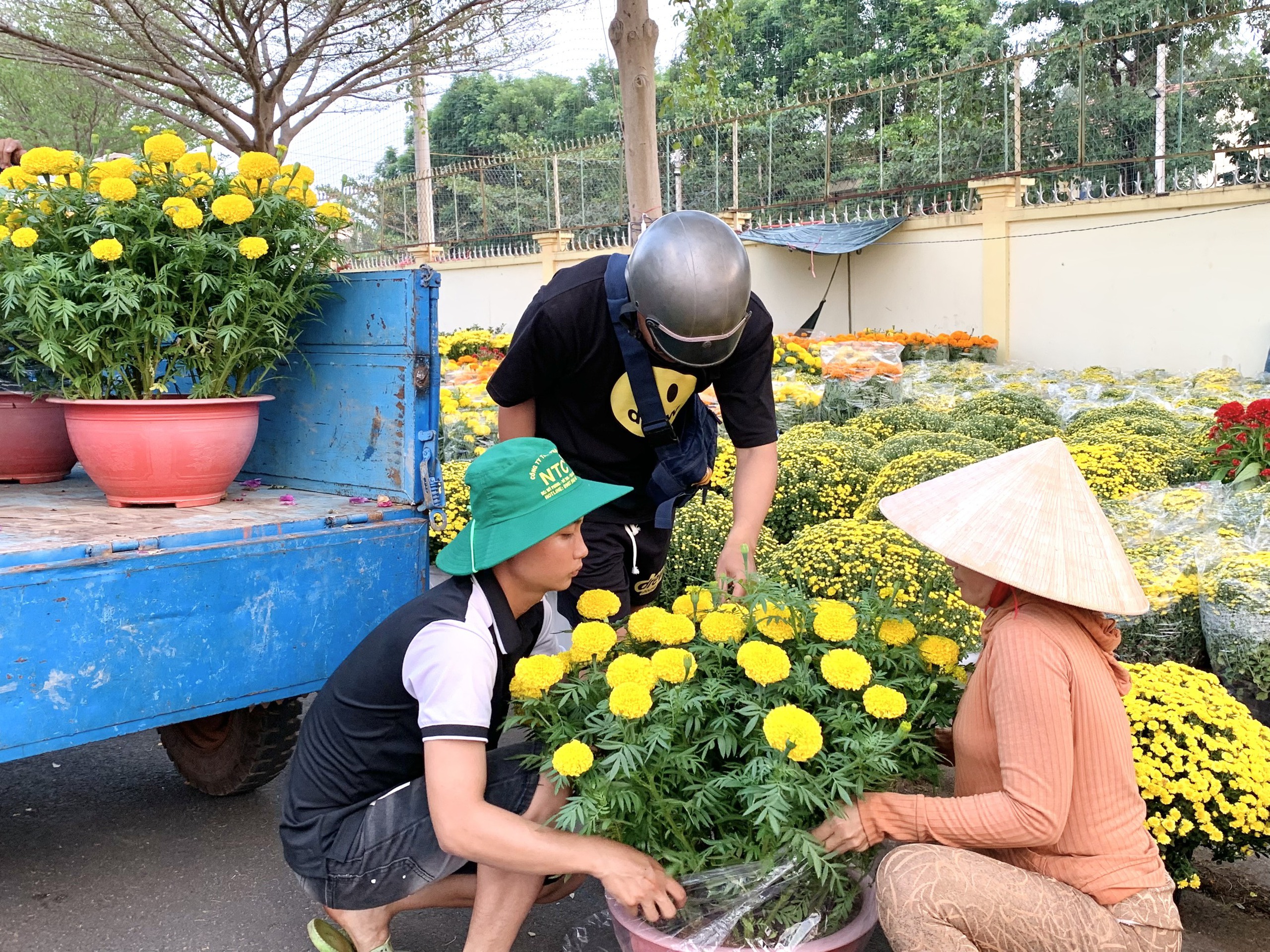 Rực rỡ chợ hoa xuân ngày cận Tết- Ảnh 3.