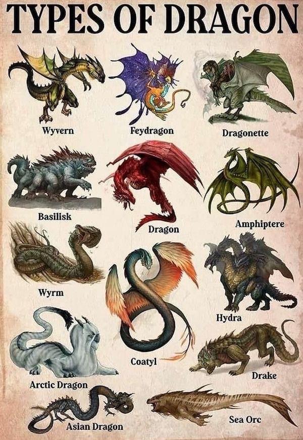 13 loại rồng có thể bạn chưa biết- Ảnh 1.