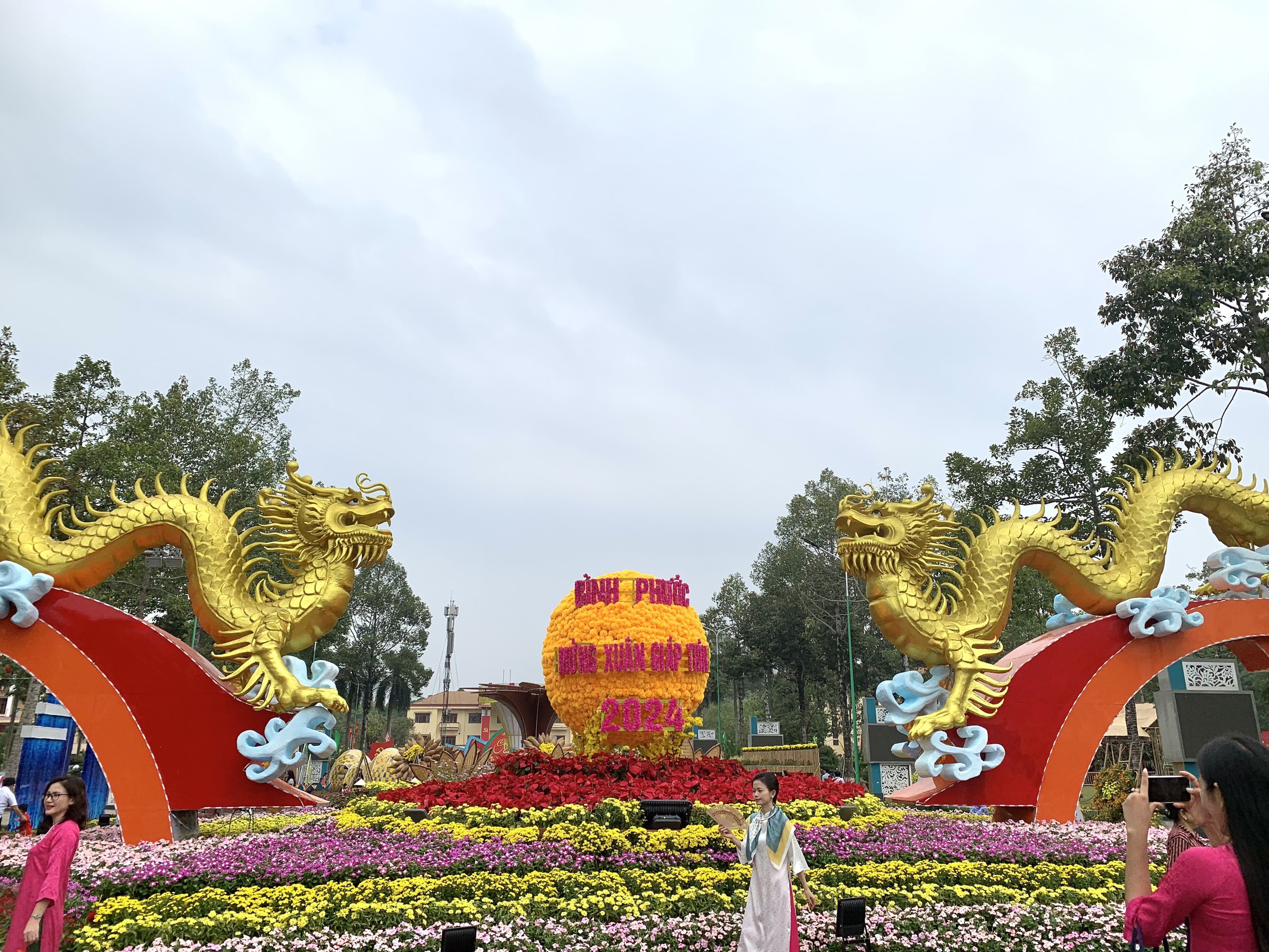 Đôi rồng vàng vừa lộ diện đã “hút” khách ở Bình Phước- Ảnh 3.