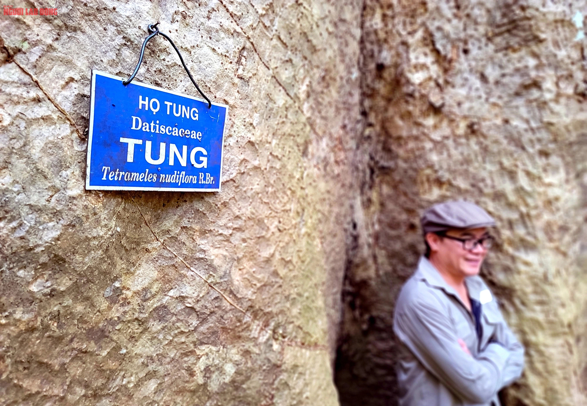 Thăm "cụ" Tung khổng lồ 500 tuổi trong Vườn quốc gia Cát Tiên- Ảnh 6.