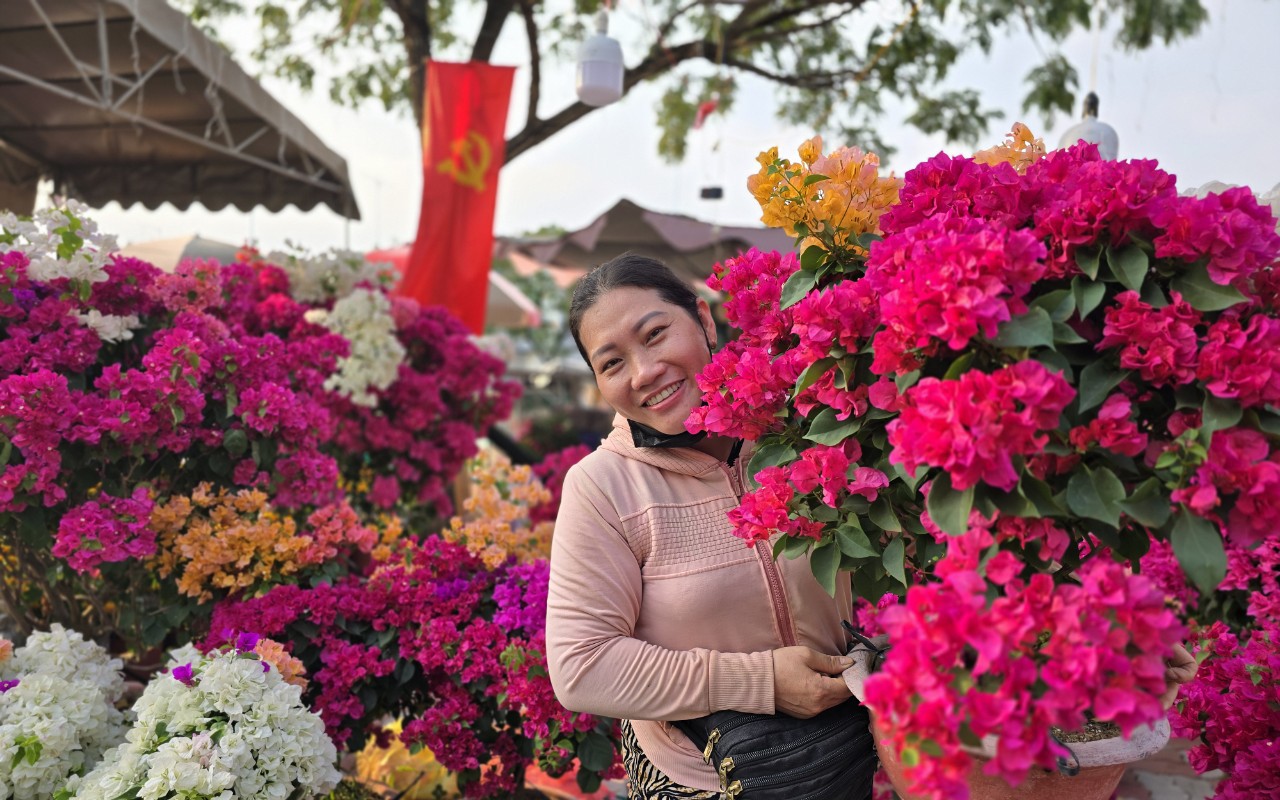 Nhà vườn bông giấy thắng lớn ở Hội hoa xuân Bến Bình Đông