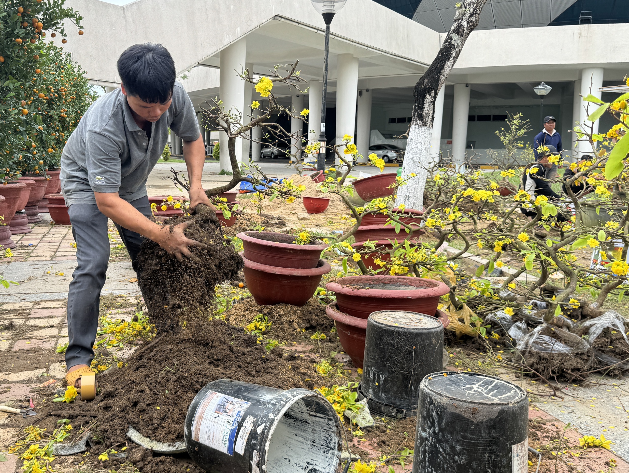 Mai đại hạ giá vẫn ế, nhiều tiểu thương đập chậu lấy gốc chở về - Ảnh 5.