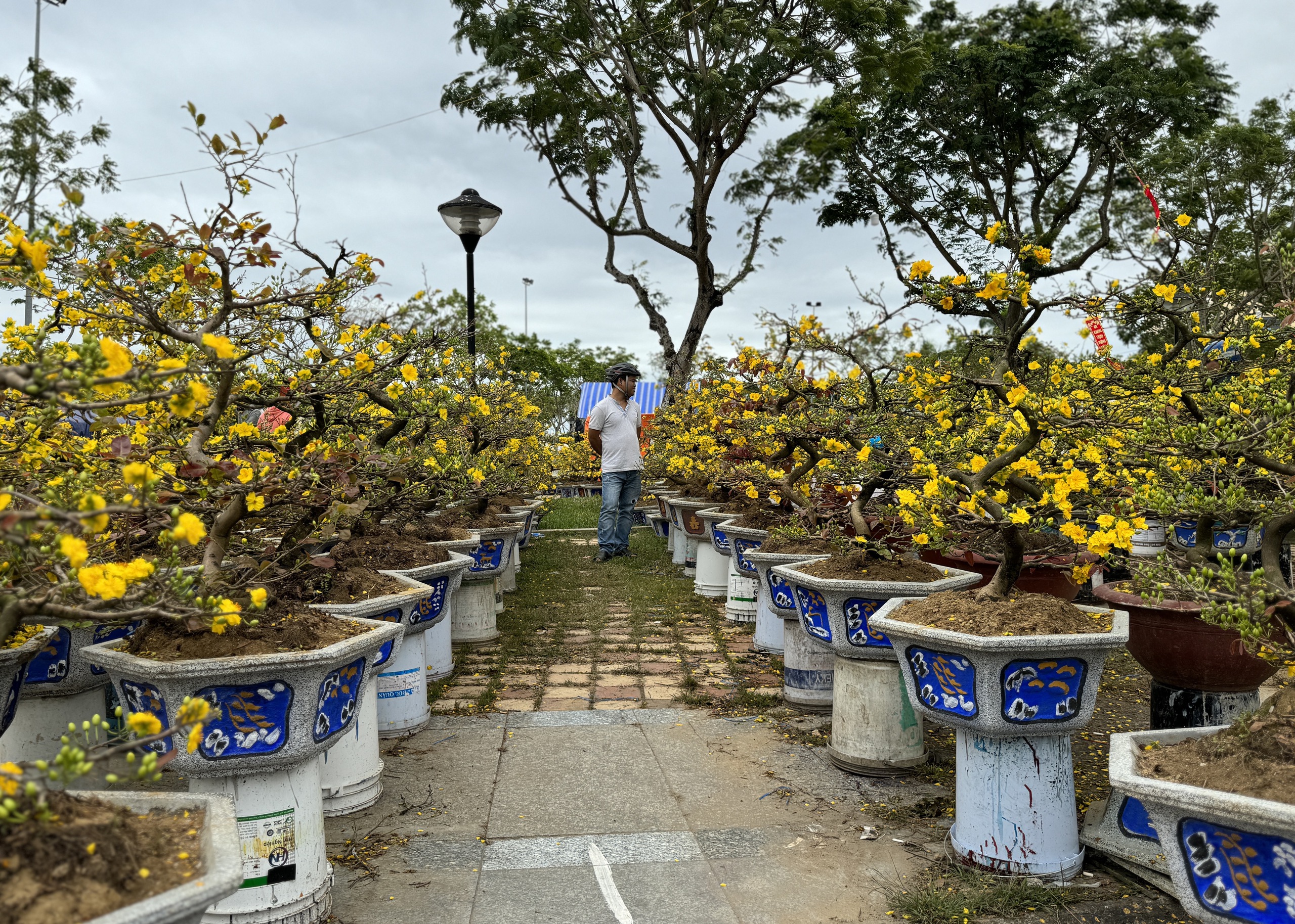 Mai đại hạ giá vẫn ế, nhiều tiểu thương đập chậu lấy gốc chở về - Ảnh 9.