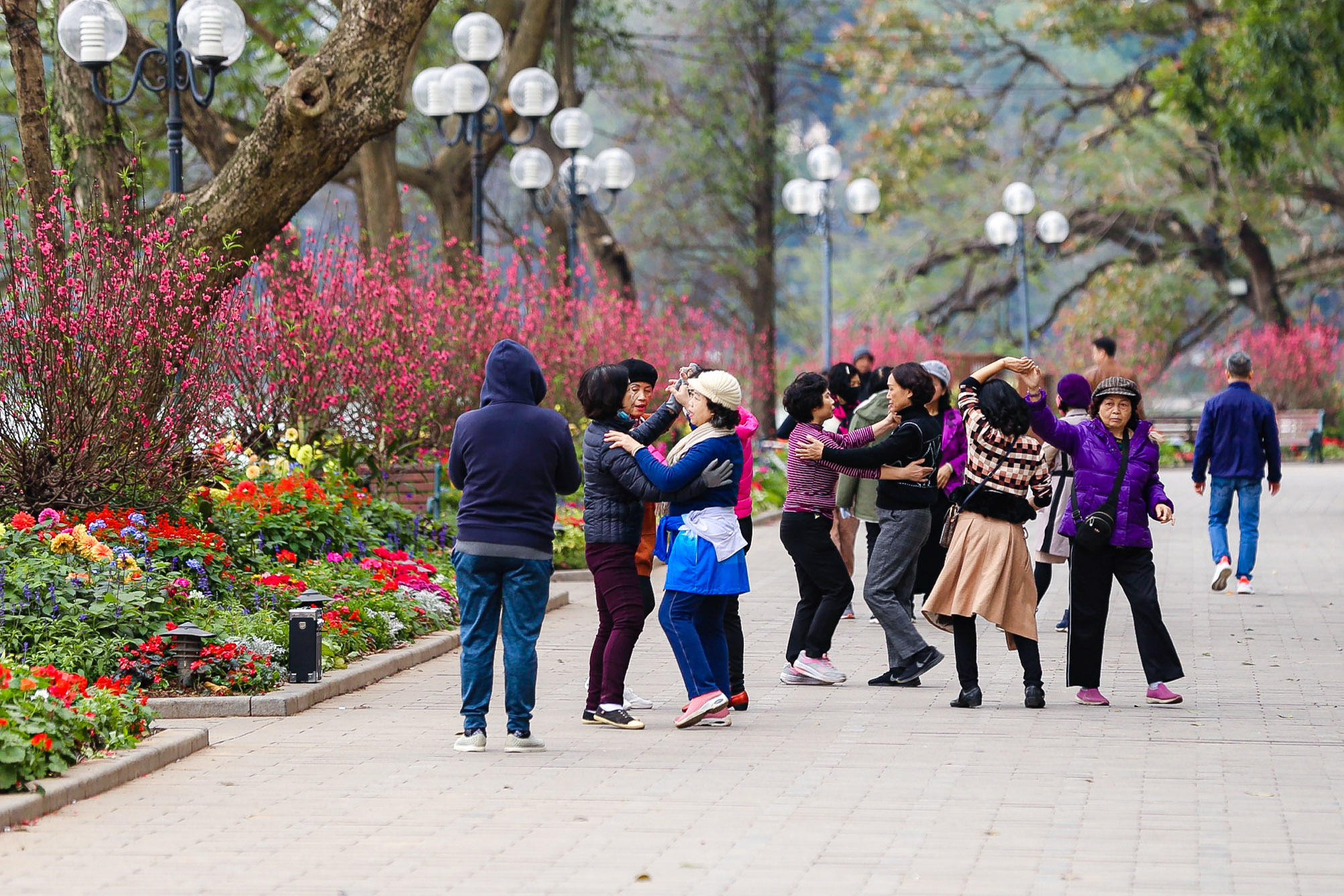 Người Hà Nội thảnh thơi tận hưởng không khí bình yên, uống cà phê ngày 30 Tết- Ảnh 10. Người Hà Nội thảnh thơi tận hưởng không khí bình yên, uống cà phê ngày 30 Tết- Ảnh 10.