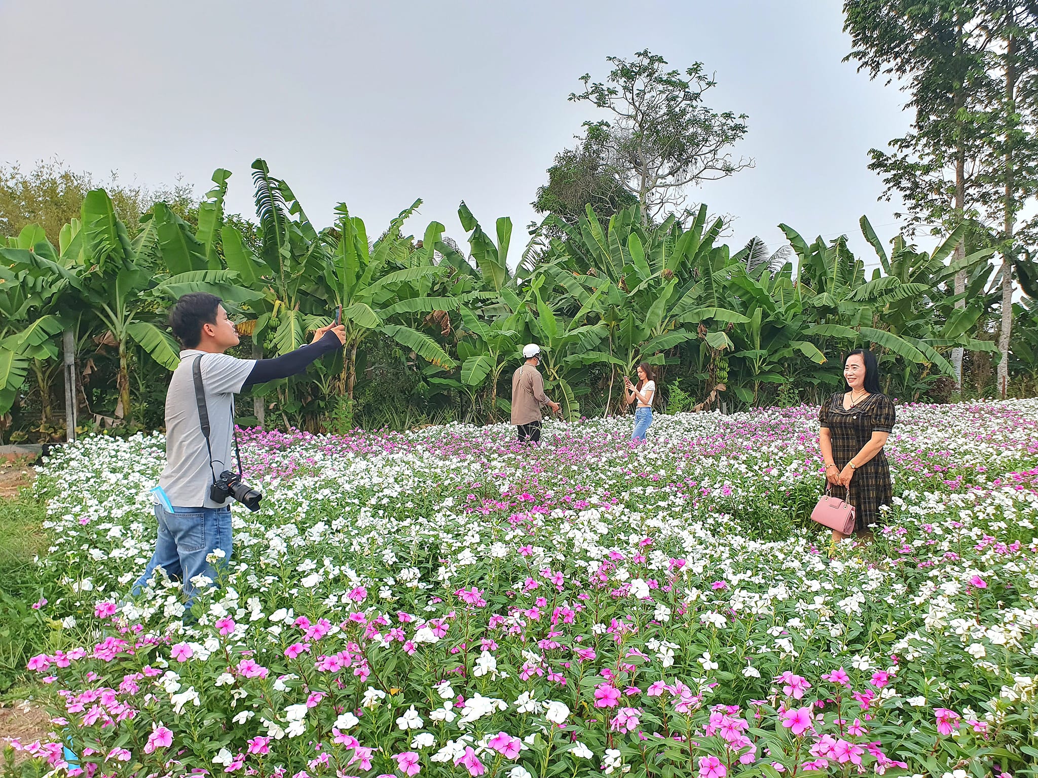 Vườn trồng cây thuốc Nam ở Cần Thơ bất ngờ trở thành điểm check-in hút khách- Ảnh 7.