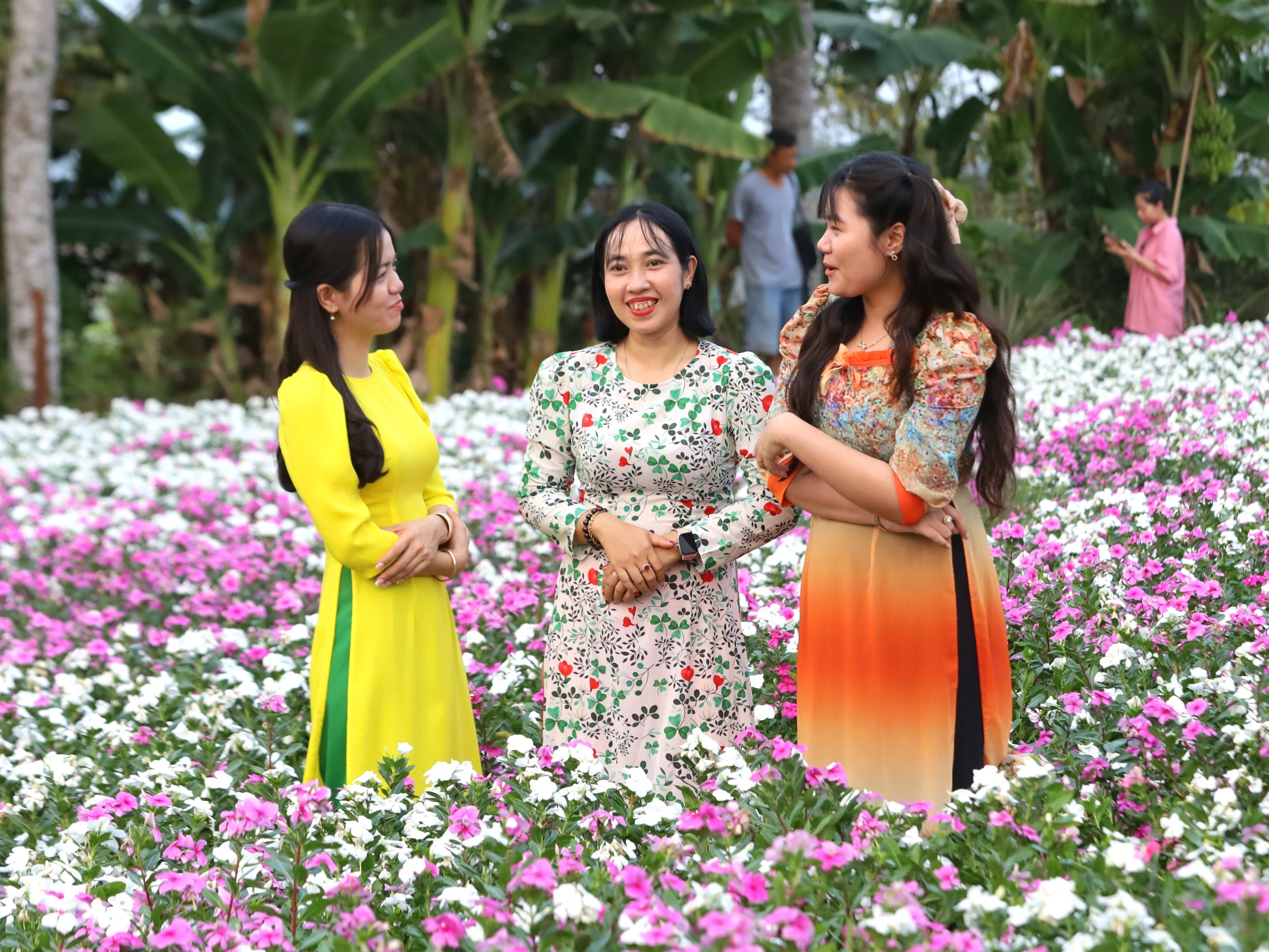 Vườn trồng cây thuốc Nam ở Cần Thơ bất ngờ trở thành điểm check-in hút khách- Ảnh 10.