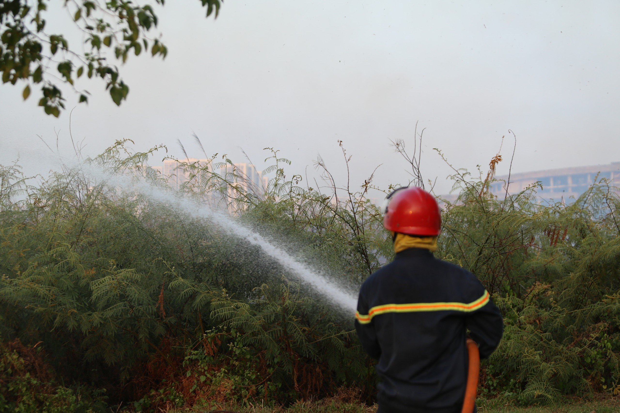 TP HCM: Cây cỏ ở Khu Công nghệ cao cháy ngùn ngụt, khu Đại học Quốc gia bị ảnh hưởng- Ảnh 2. TP HCM: Cây cỏ ở Khu Công nghệ cao cháy ngùn ngụt, khu Đại học Quốc gia bị ảnh hưởng- Ảnh 2.