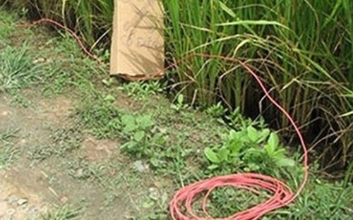 Khởi tố cụ ông dùng điện bẫy chuột khiến 2 người tử vong- Ảnh 2.