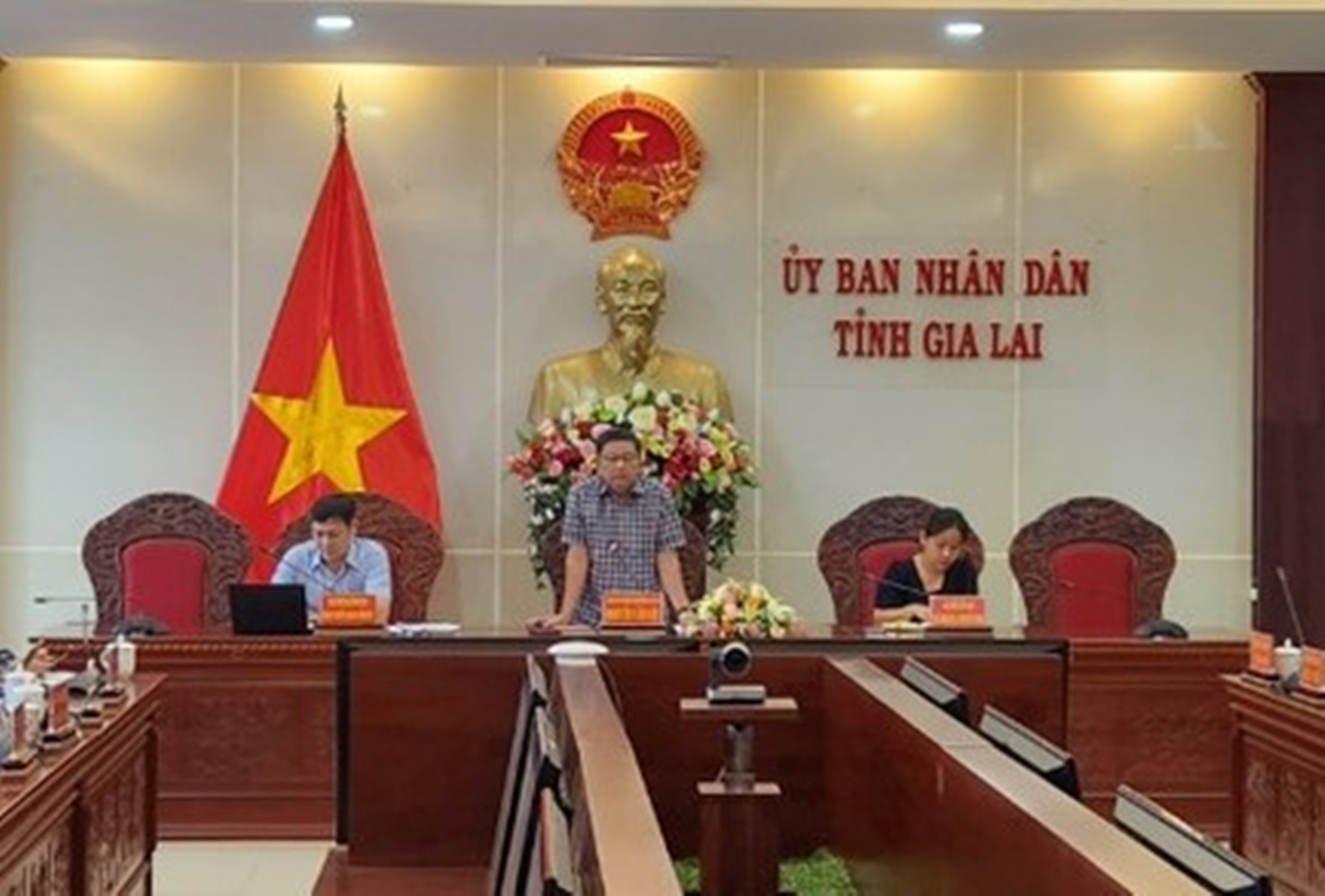 Chánh Văn phòng UBND tỉnh Gia Lai xin nghỉ hưu trước tuổi- Ảnh 1.