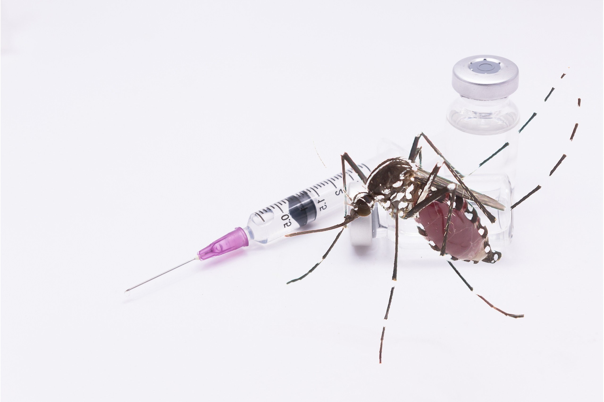 A bug on a syringe  Description automatically generated
