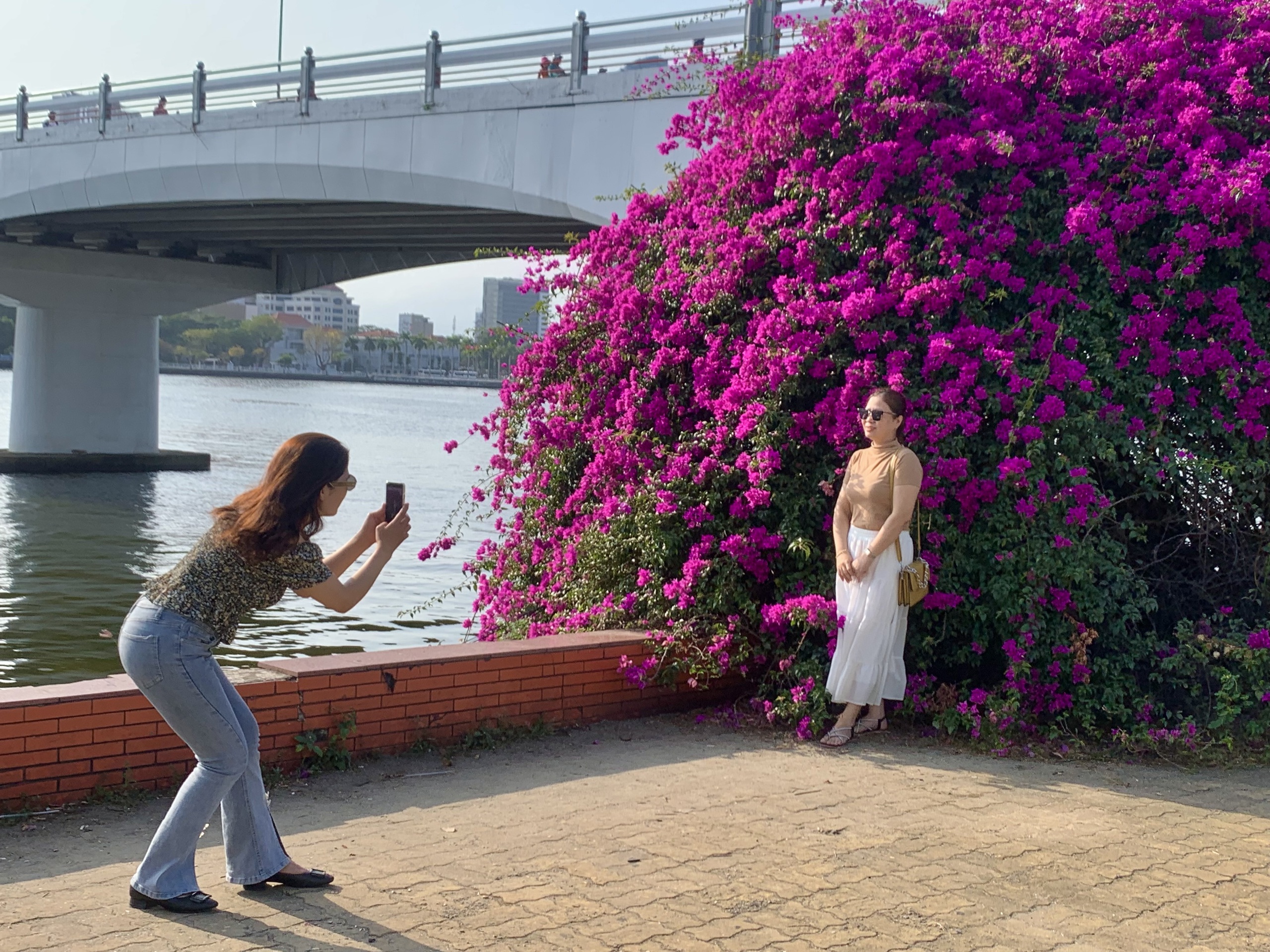 Giới trẻ Đà Nẵng “phát sốt” với mùa hoa giấy nở dọc bờ sông Hàn- Ảnh 7.
