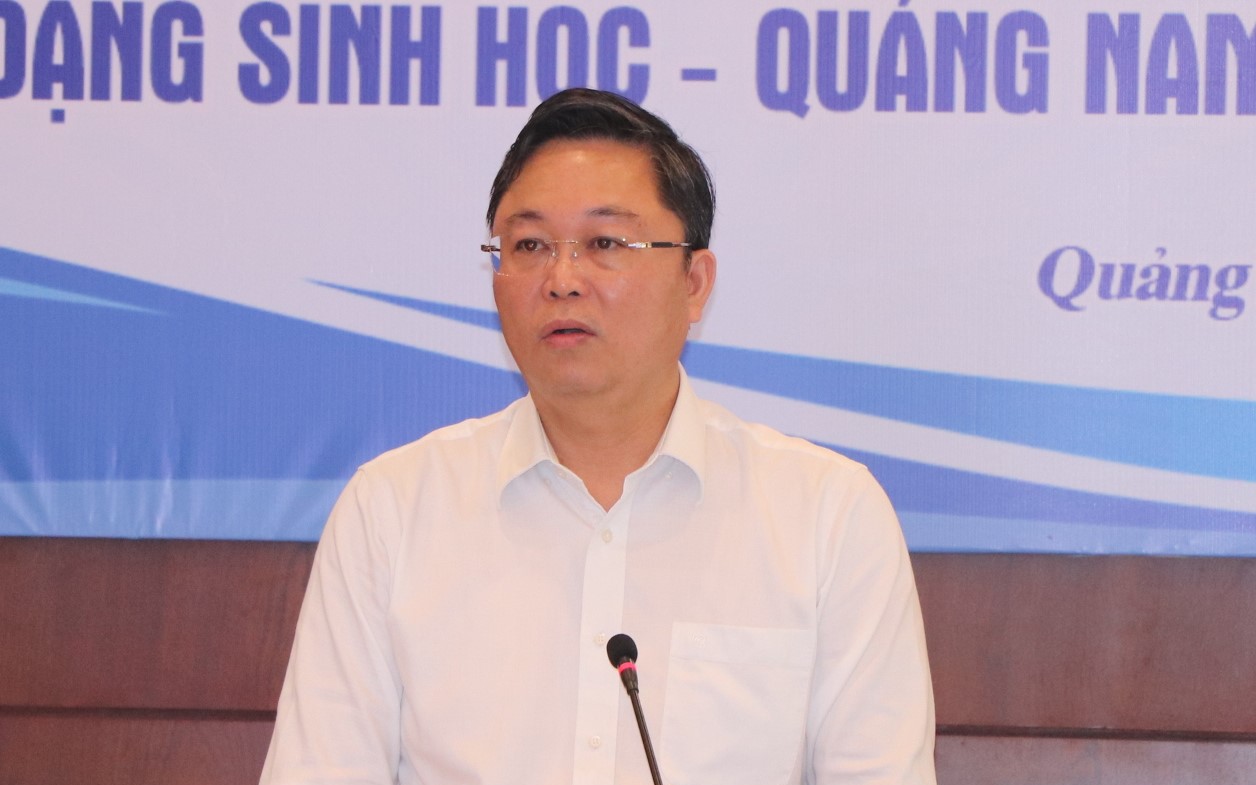 Chủ tịch UBND tỉnh Quảng Nam nêu quan điểm về Tập đoàn Trường Hải