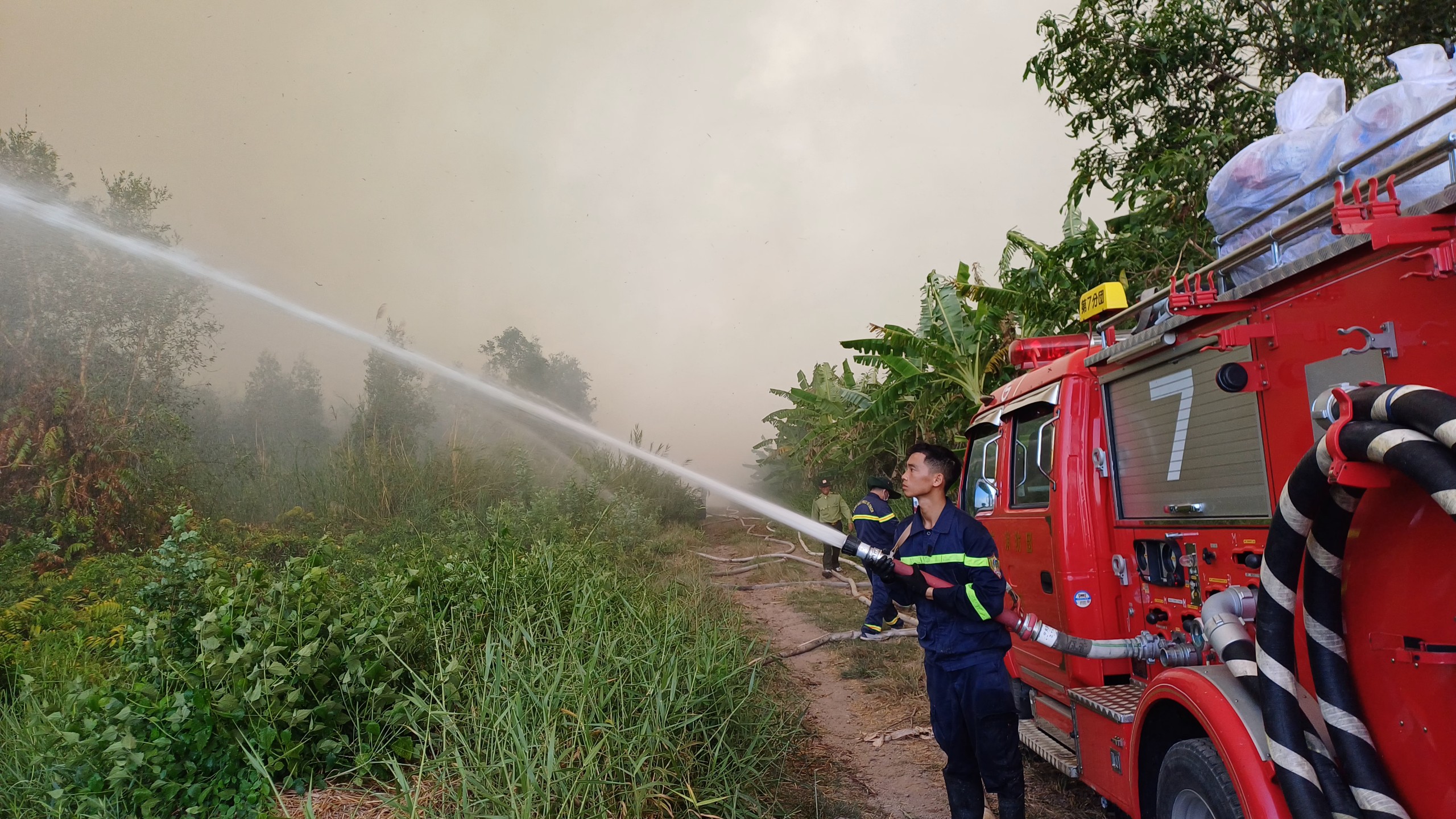  Khung cảnh hoang tàn sau 16 giờ cháy rừng tràm Cà Mau - Ảnh 4.