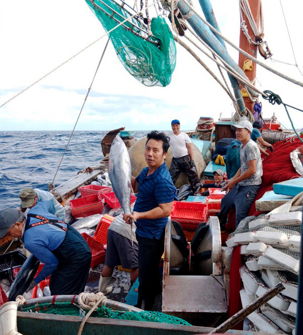 Ngư dân Nguyễn Ngọc Cảnh trong chuyến biển trở về đầy ắp cá. Ba tàu đánh cá của gia đình ông tạo việc làm cho khoảng 35 lao động địa phương