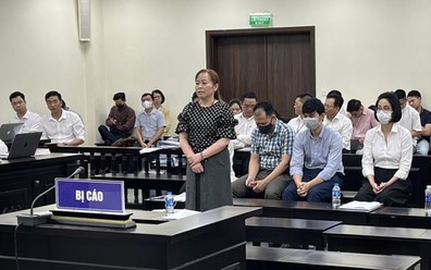 Nữ cựu chủ tịch Vimedimex Nguyễn Thị Loan kêu oan, nhiều bị cáo khác nhận tội