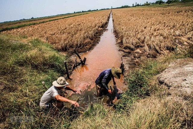 Thủ tướng Chính phủ yêu cầu các bộ ngành, địa phương thực hiện các biện pháp phòng, chống nắng nóng, hạn hán, thiếu nước, xâm nhập mặn